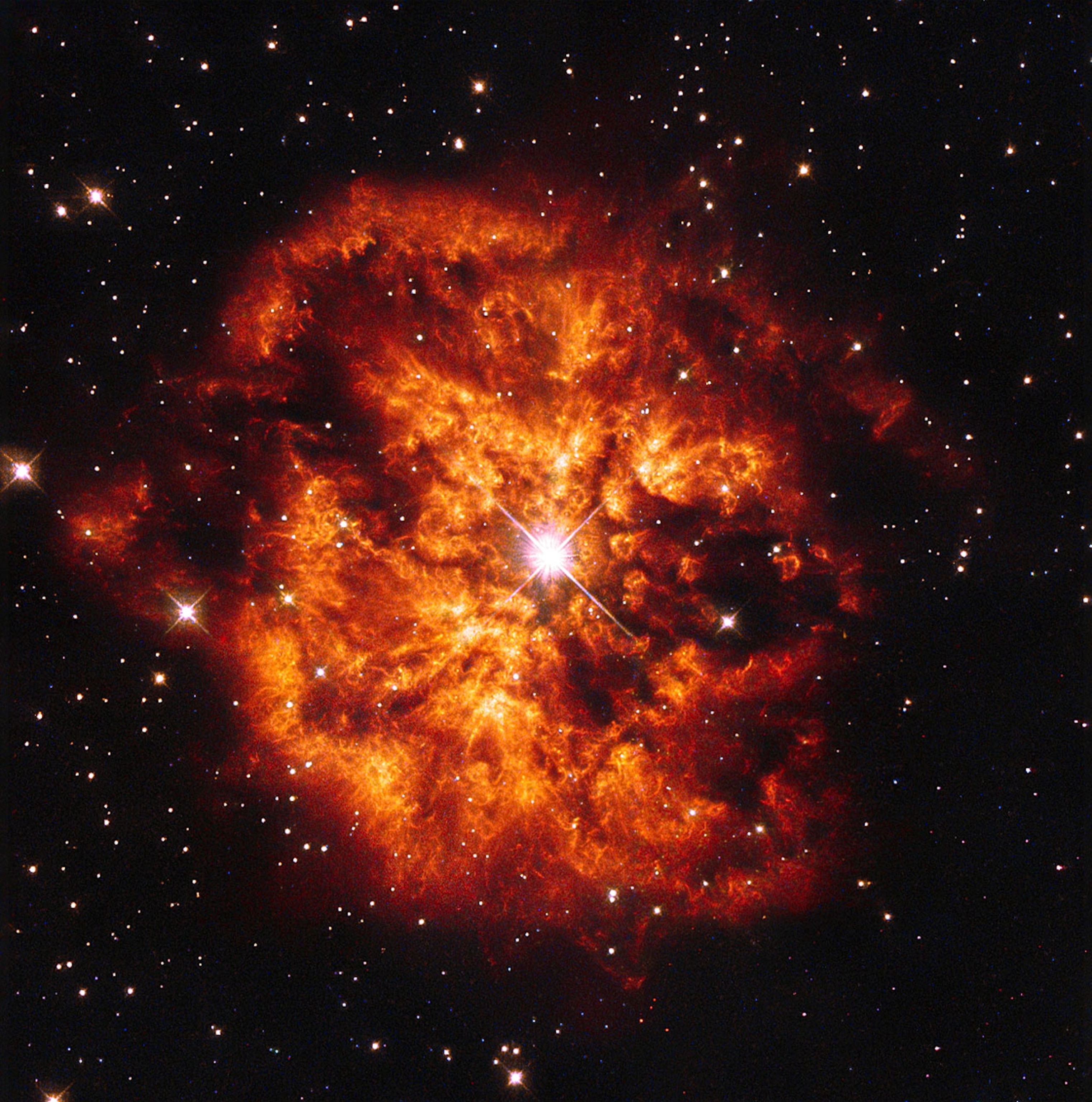 the star WR 124 and the nebula M1-67