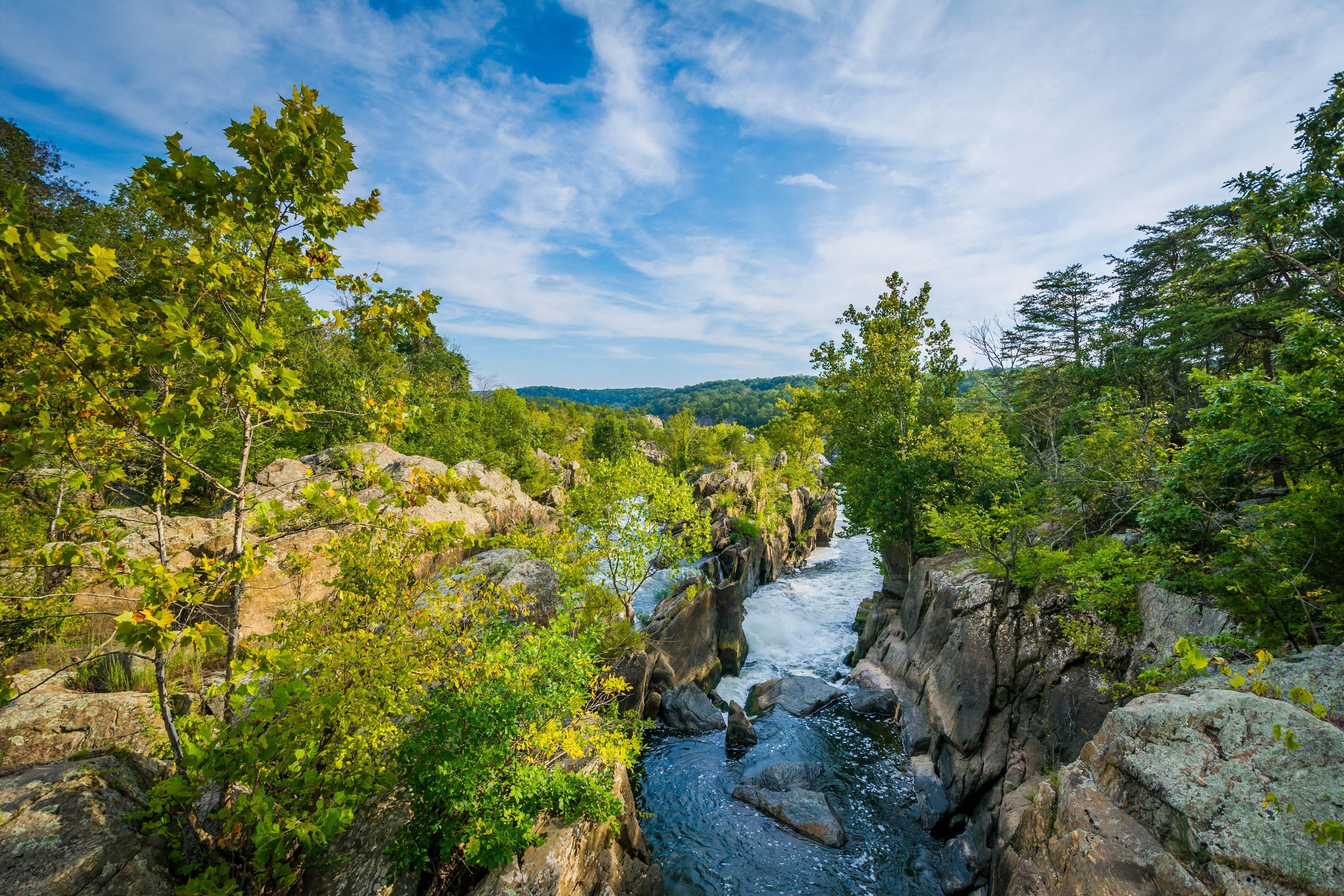 Rushing water flows through a shallow rock canyon with greenery surrounding it