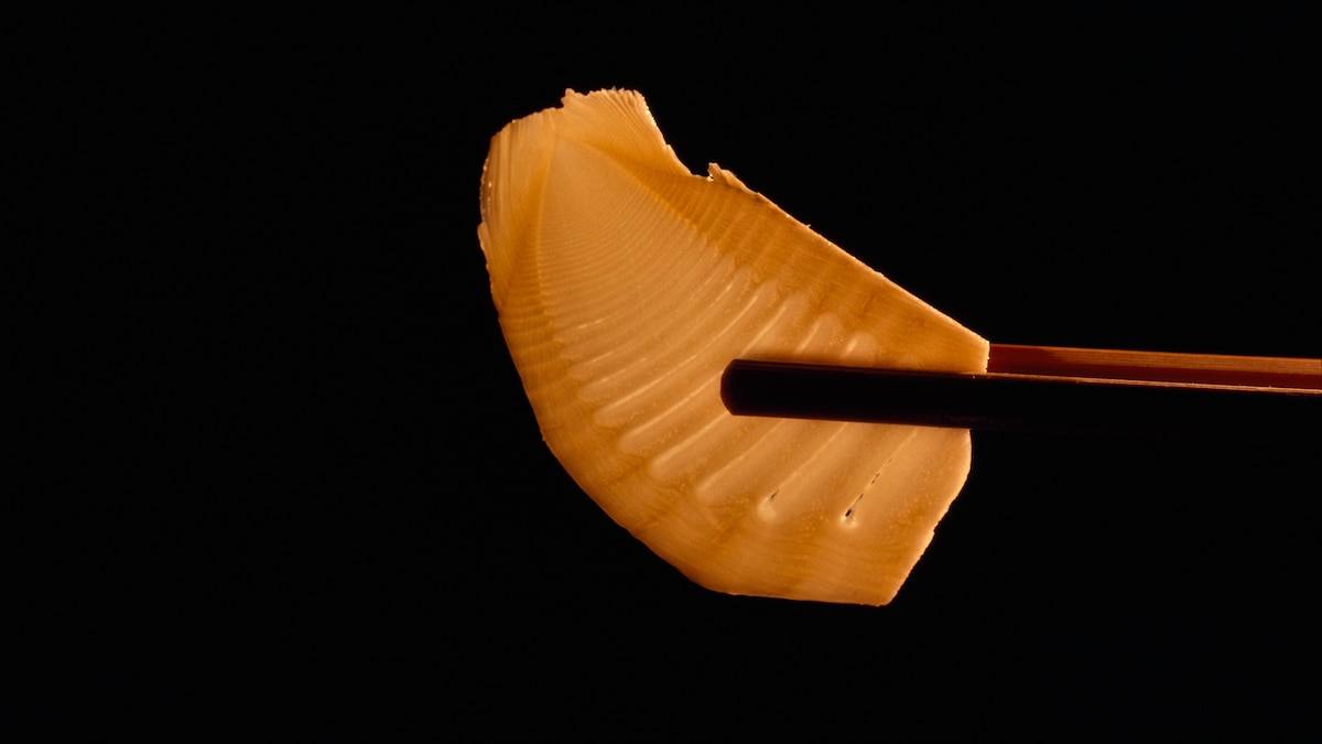 The science of why bamboo shoots are a superfood