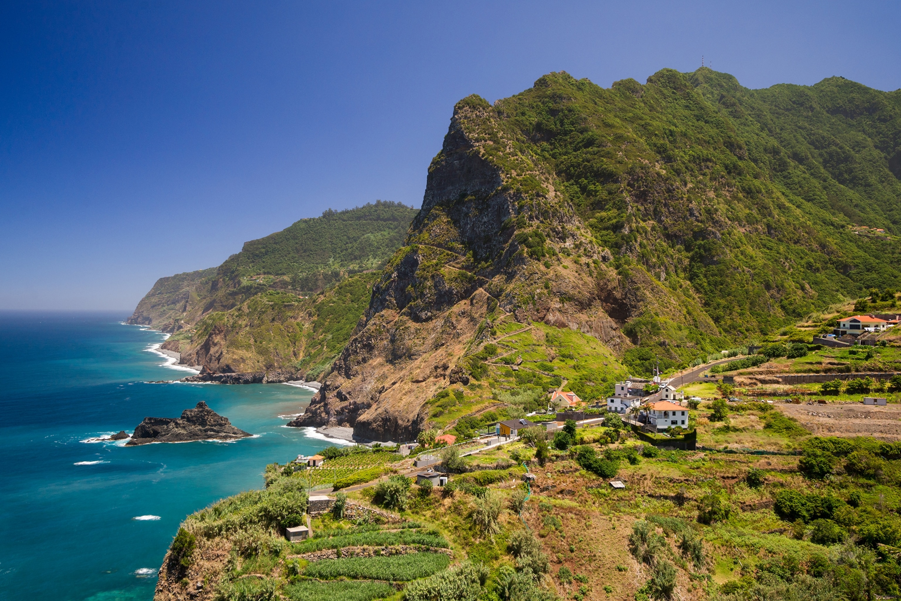 a green cliffside overlooking the ocean