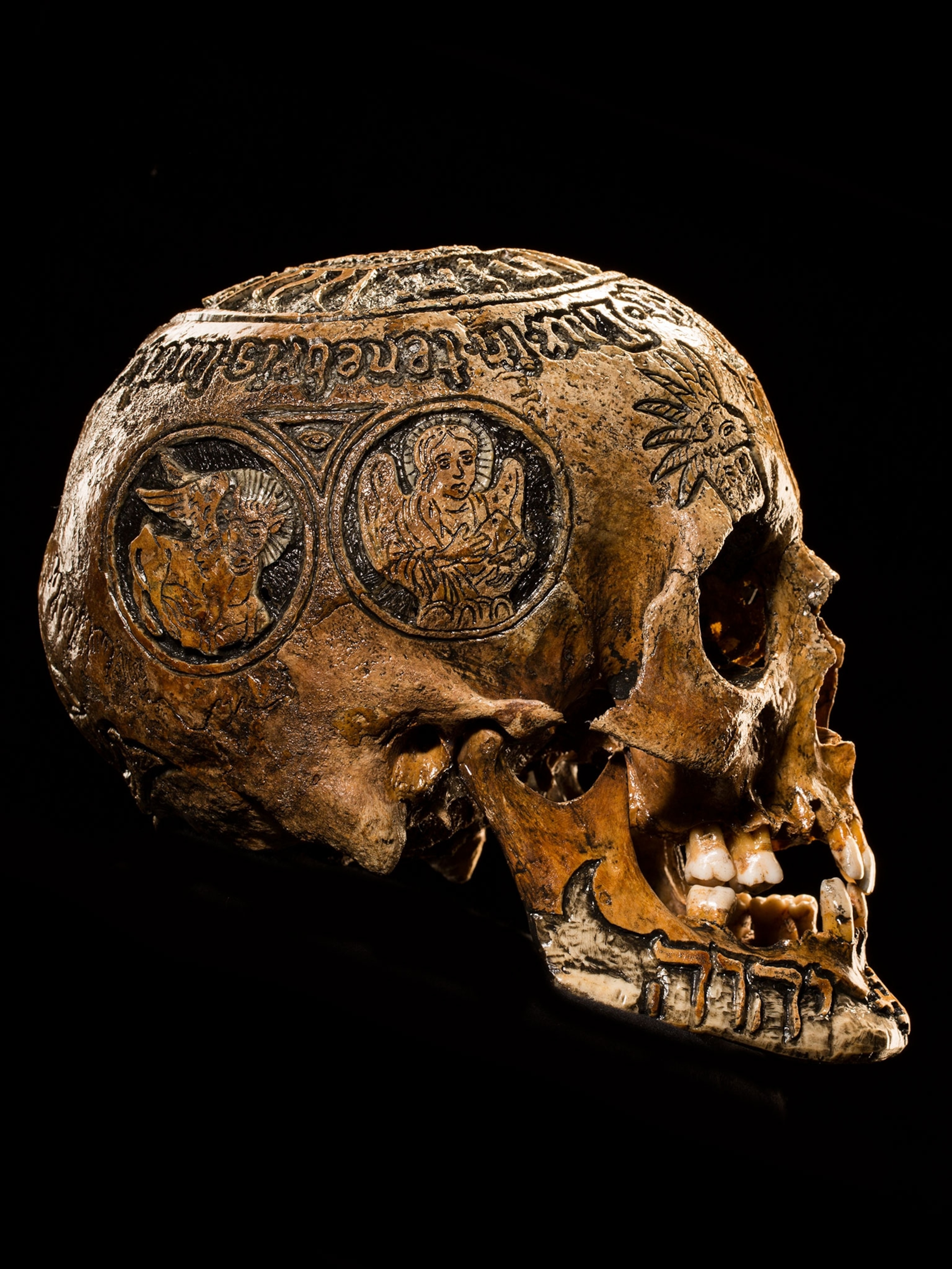 Authentic Human Skull