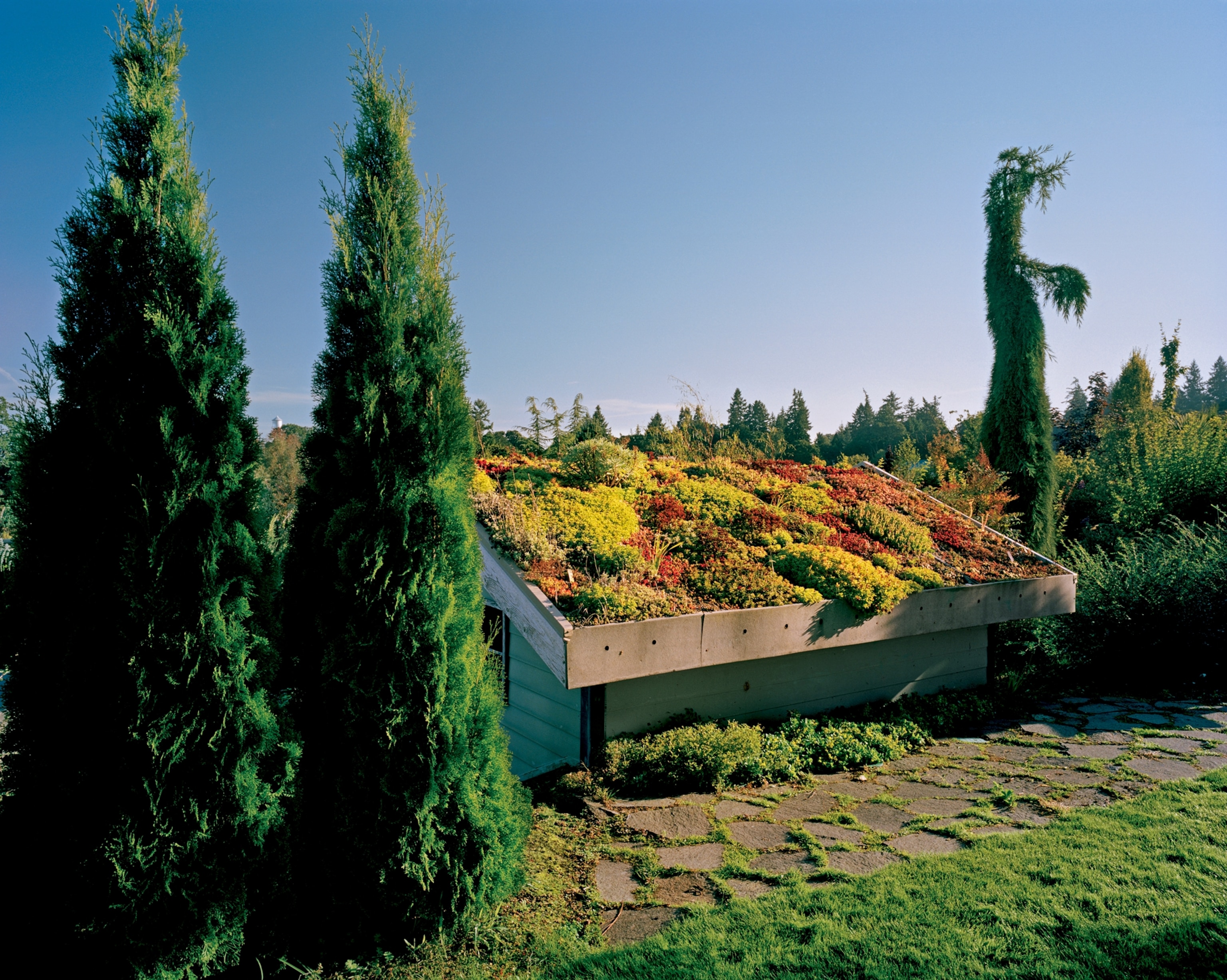 a green roof topping a shed at the Oregon Garden in Silverton, Oregon