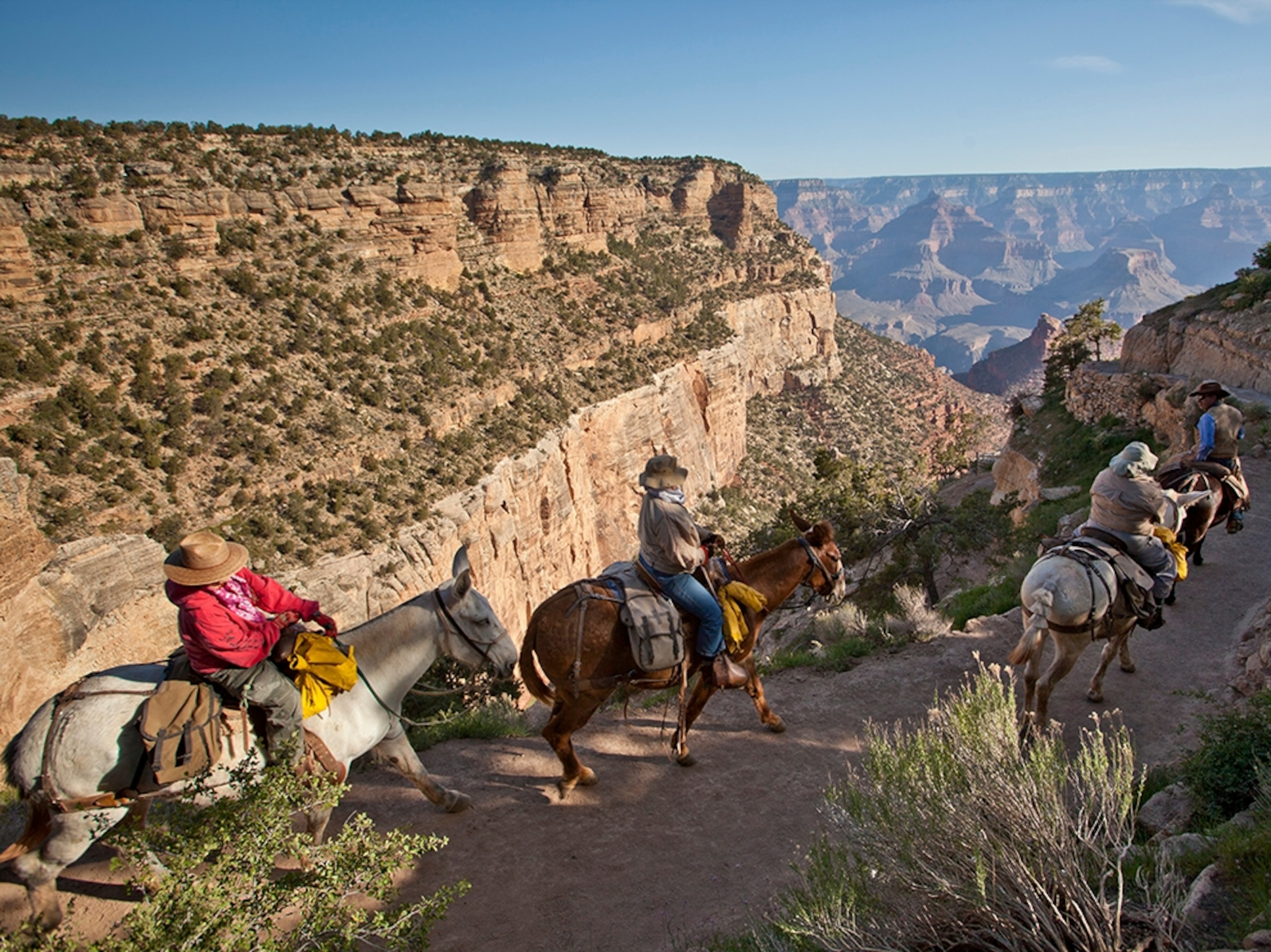 people on horseback riding into the Grand Canyon on Bright Angel Trail in Arizona