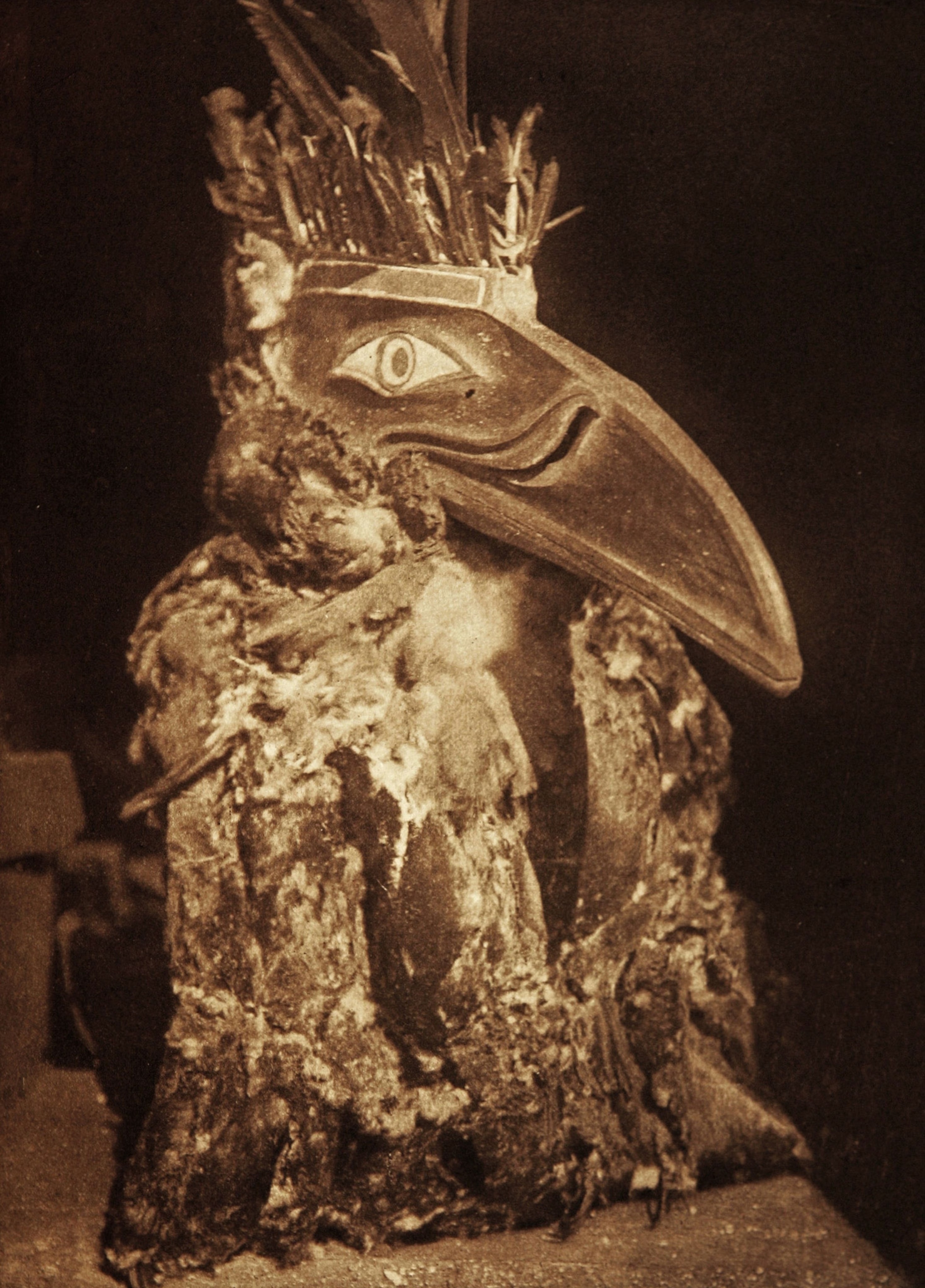 Native north american in ceremonial bird costume.