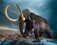 42 Animals That Start With W Facts And Pictures Animal Hype