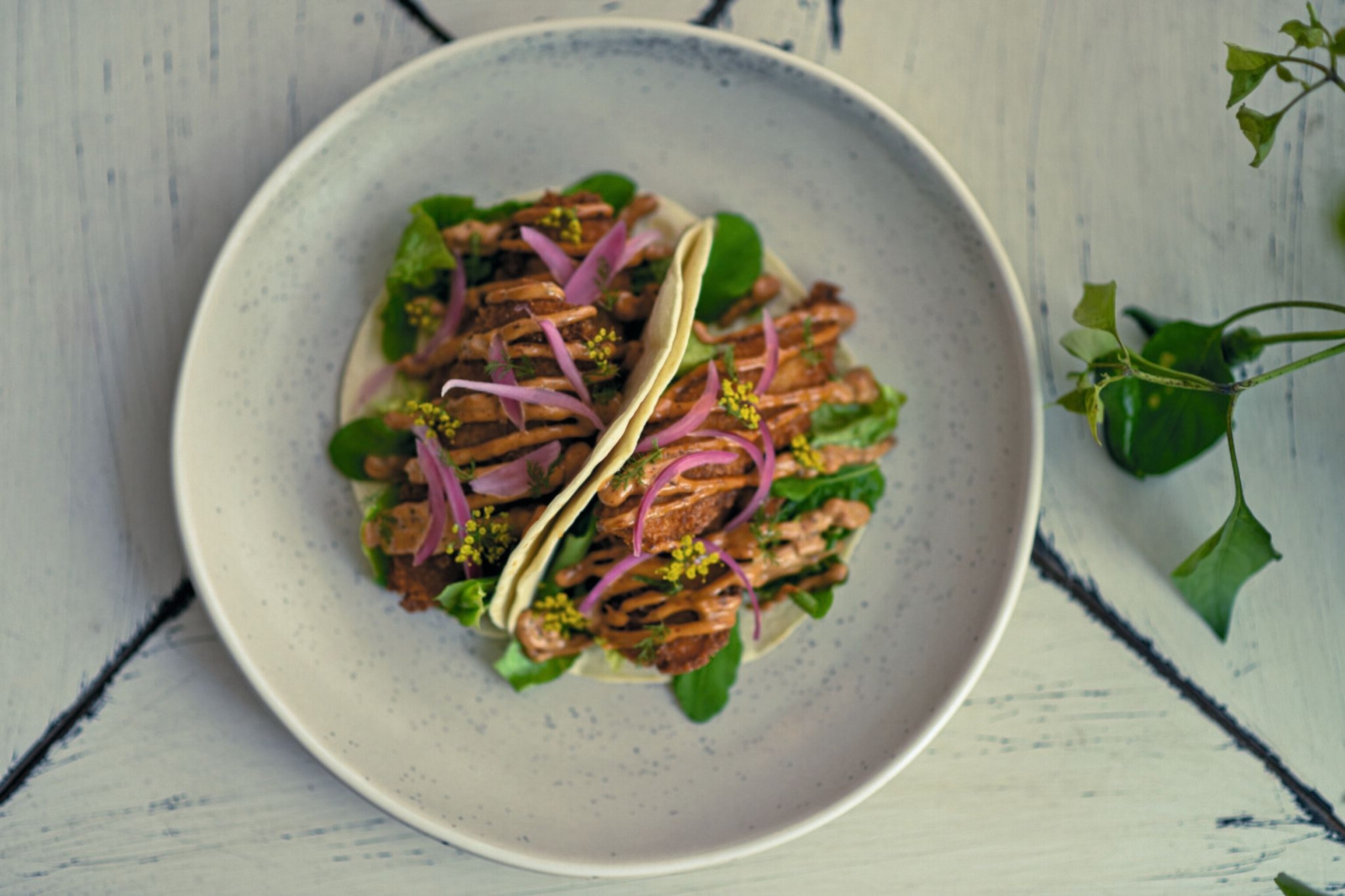 Fish tacos at Lucy’s Ardfern.