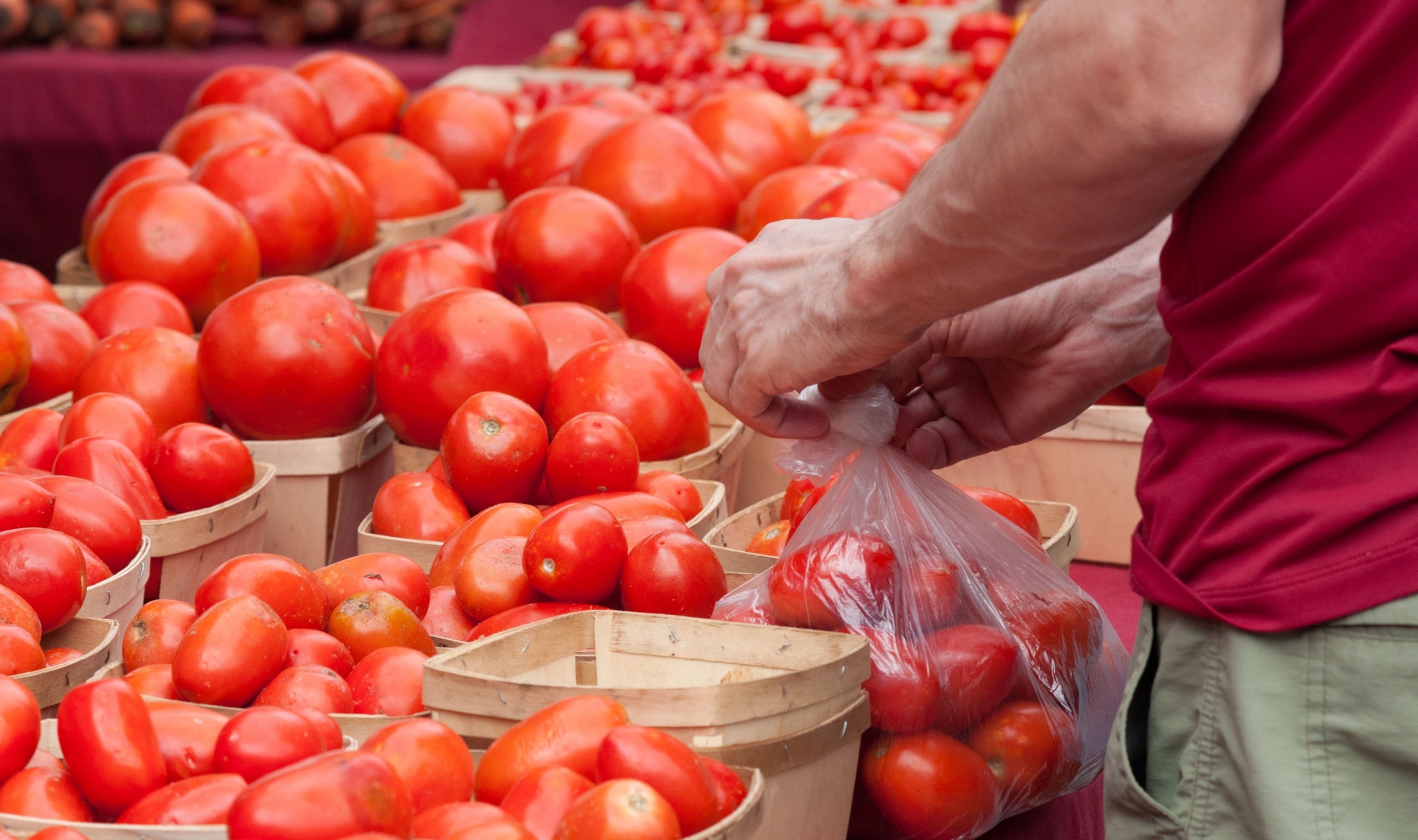 tomatoes, market