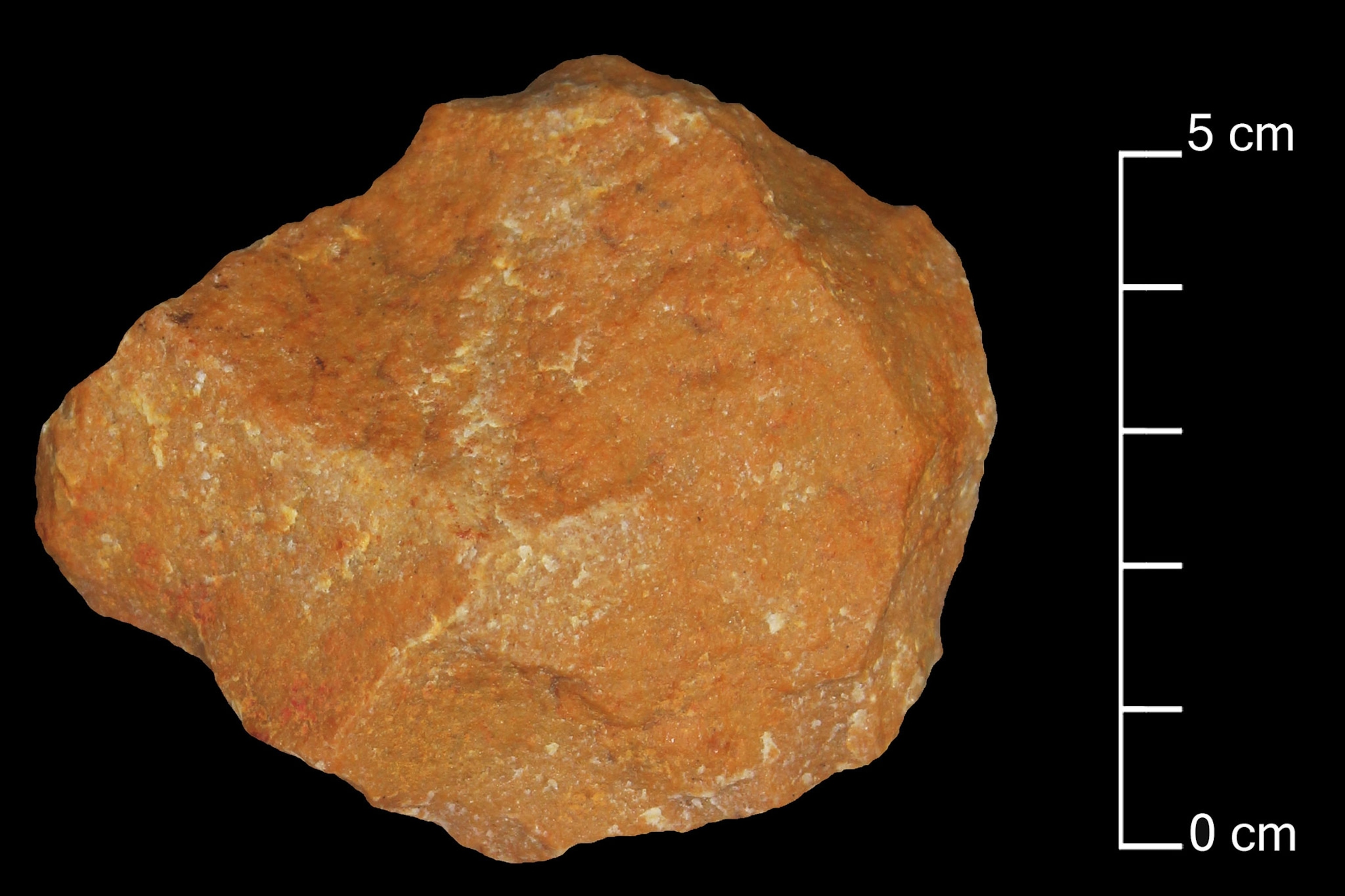 Stone Tools Found in India Upend Tale of Human Migration Out of Africa