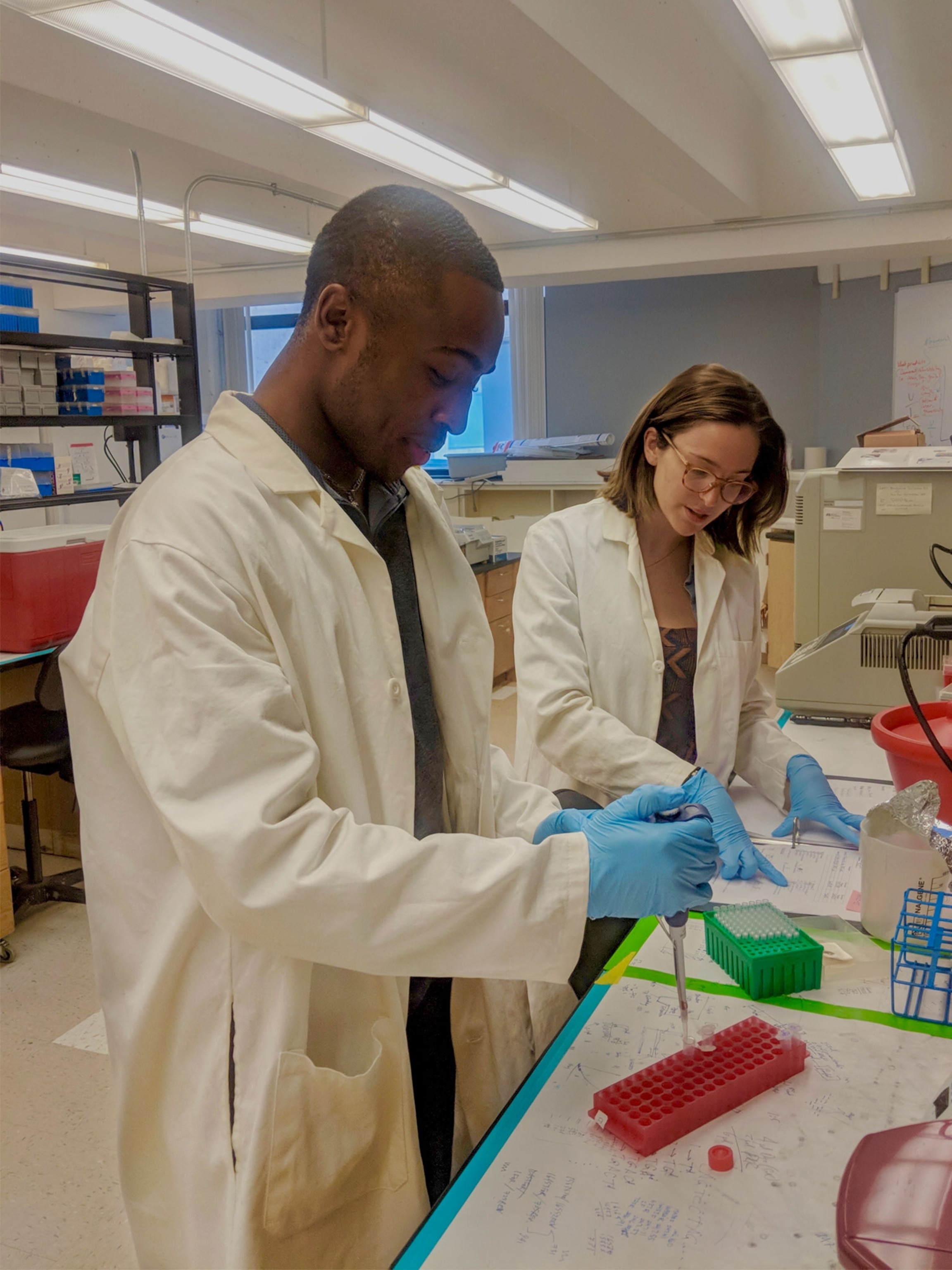 people working in a lab