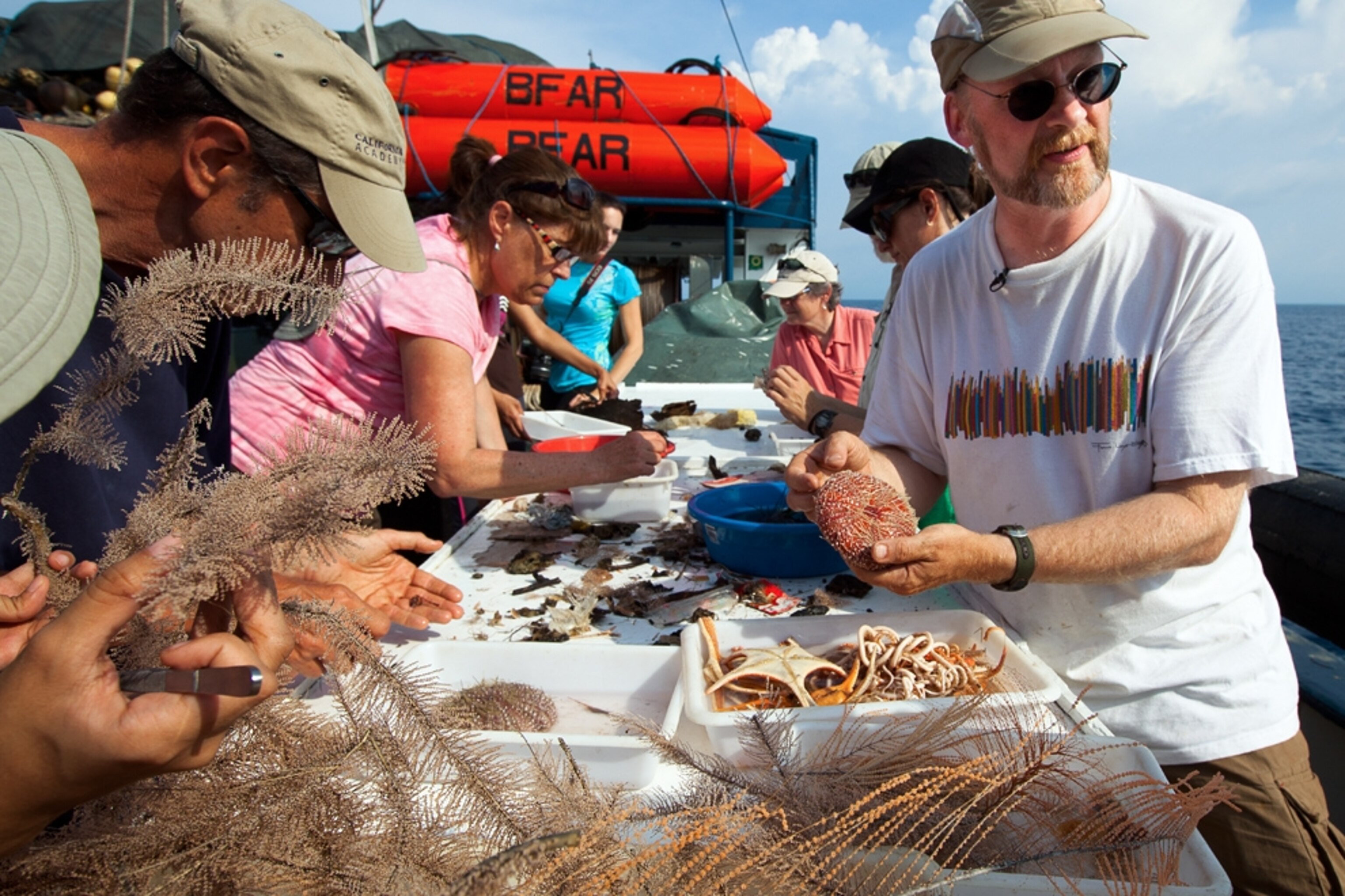 marine life caught in a trawling net in the Philippines