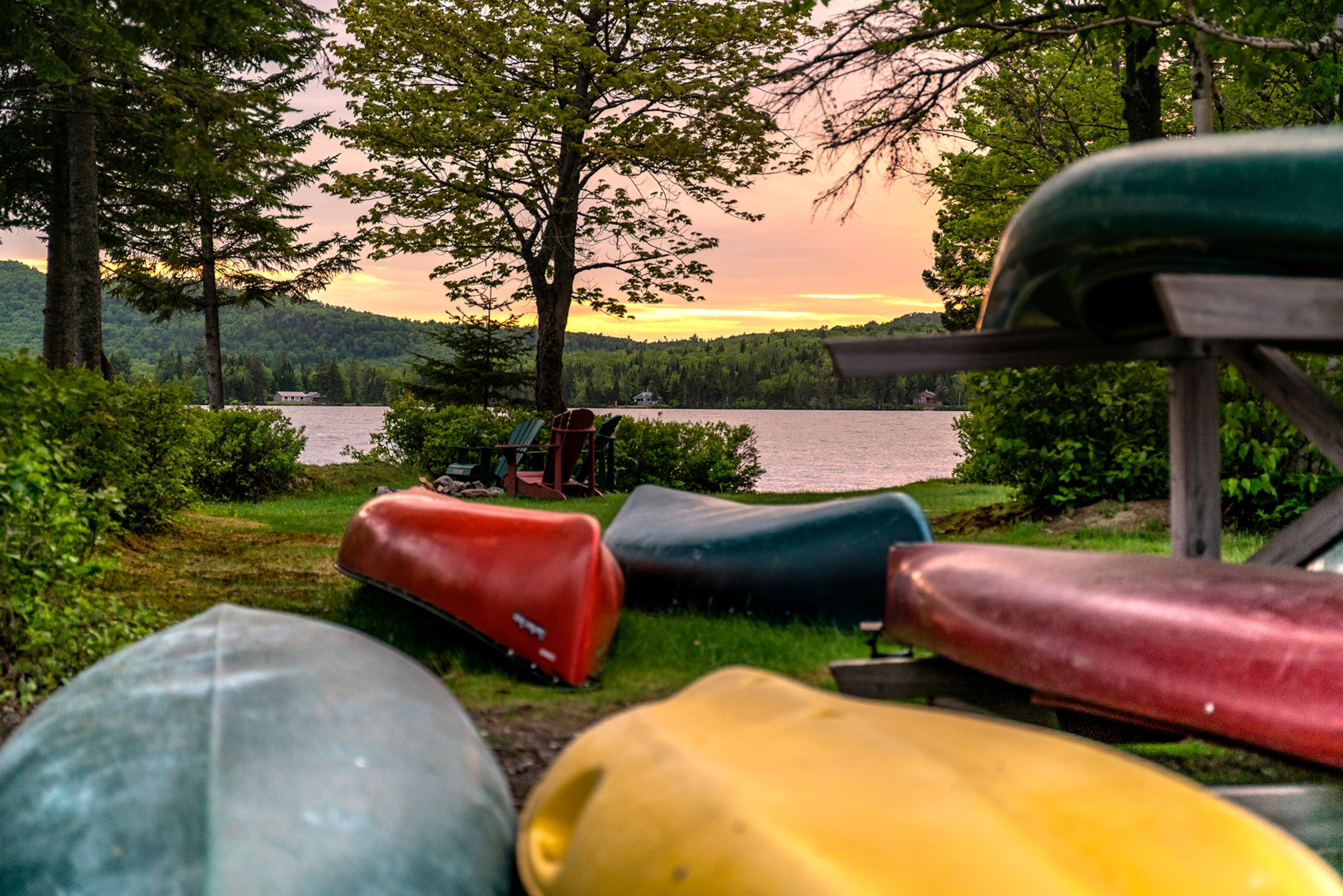 Up North in New Hampshire's Moose Alley