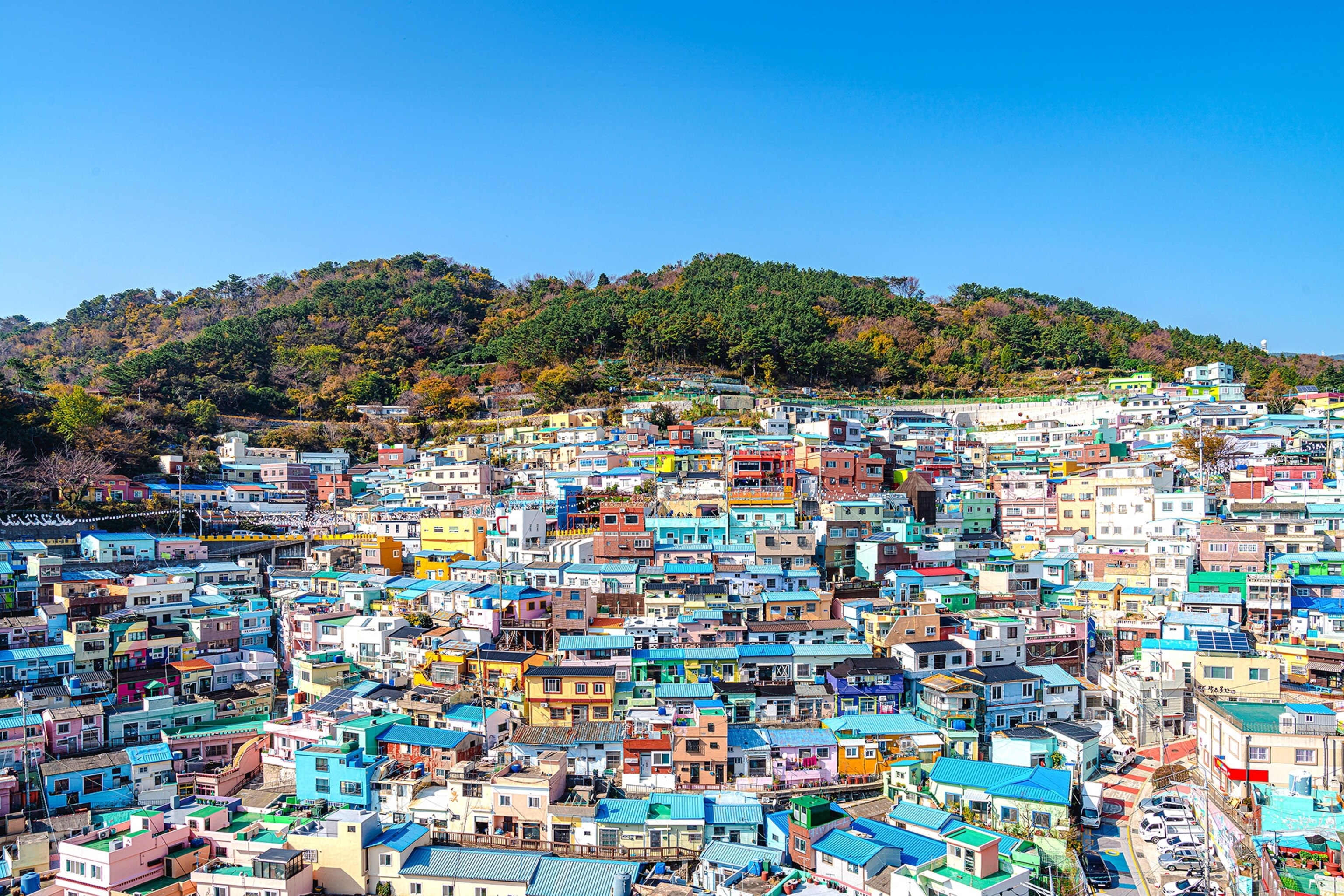 A neighbourhood guide to Busan