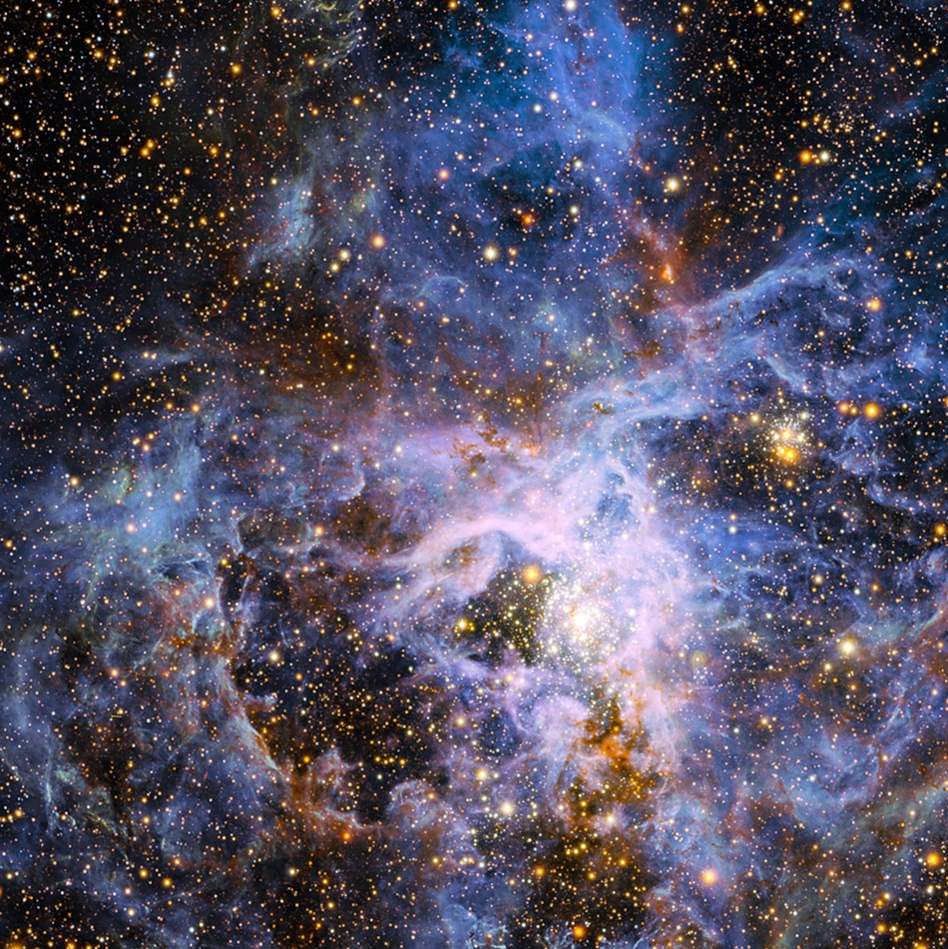 Picture of a massive star in the Tarantula Nebula