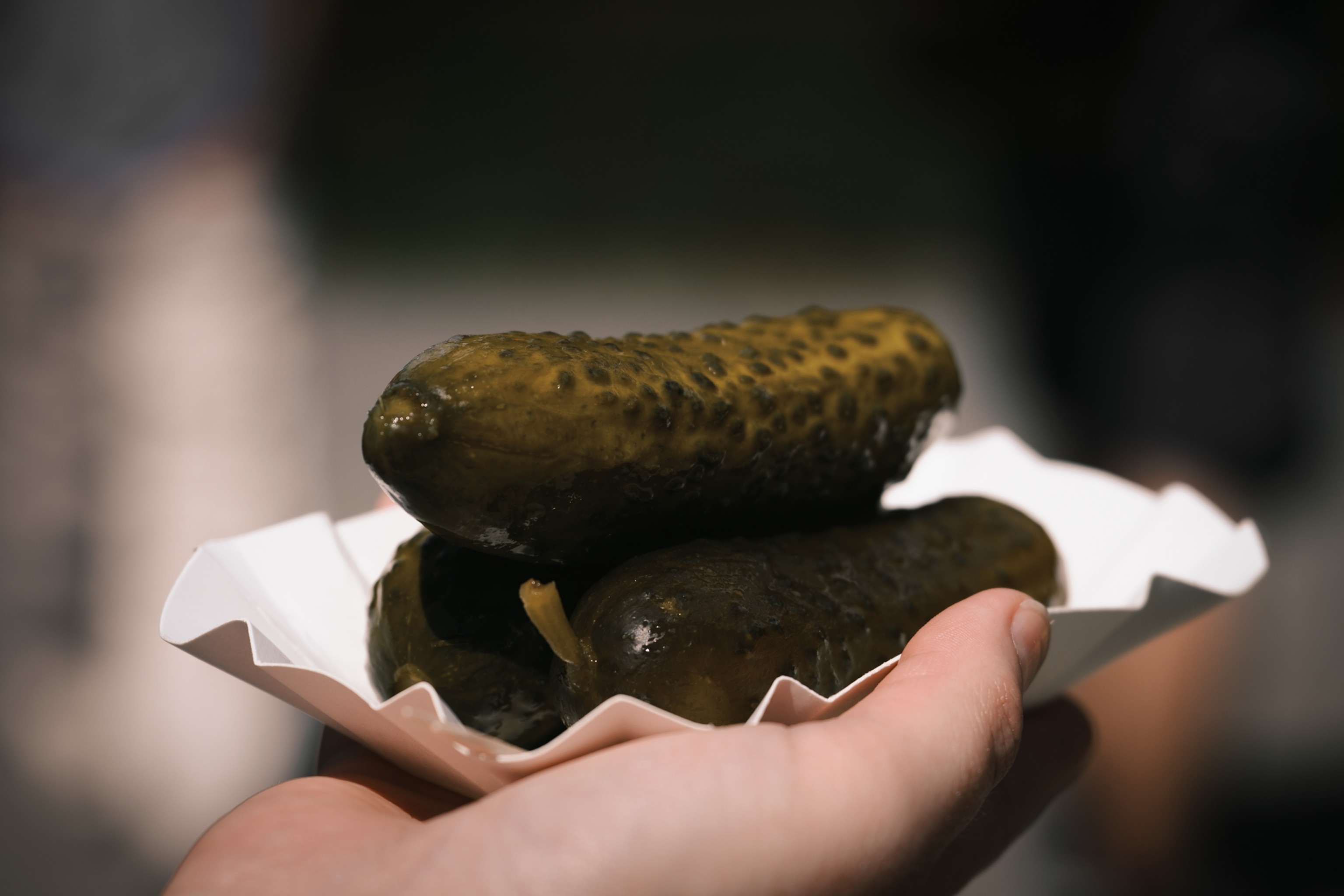 This image shows pickles that were just purchased at "Freddys Gurkenfass" at the "Großer Spreewaldhafen" in Lübbenau.