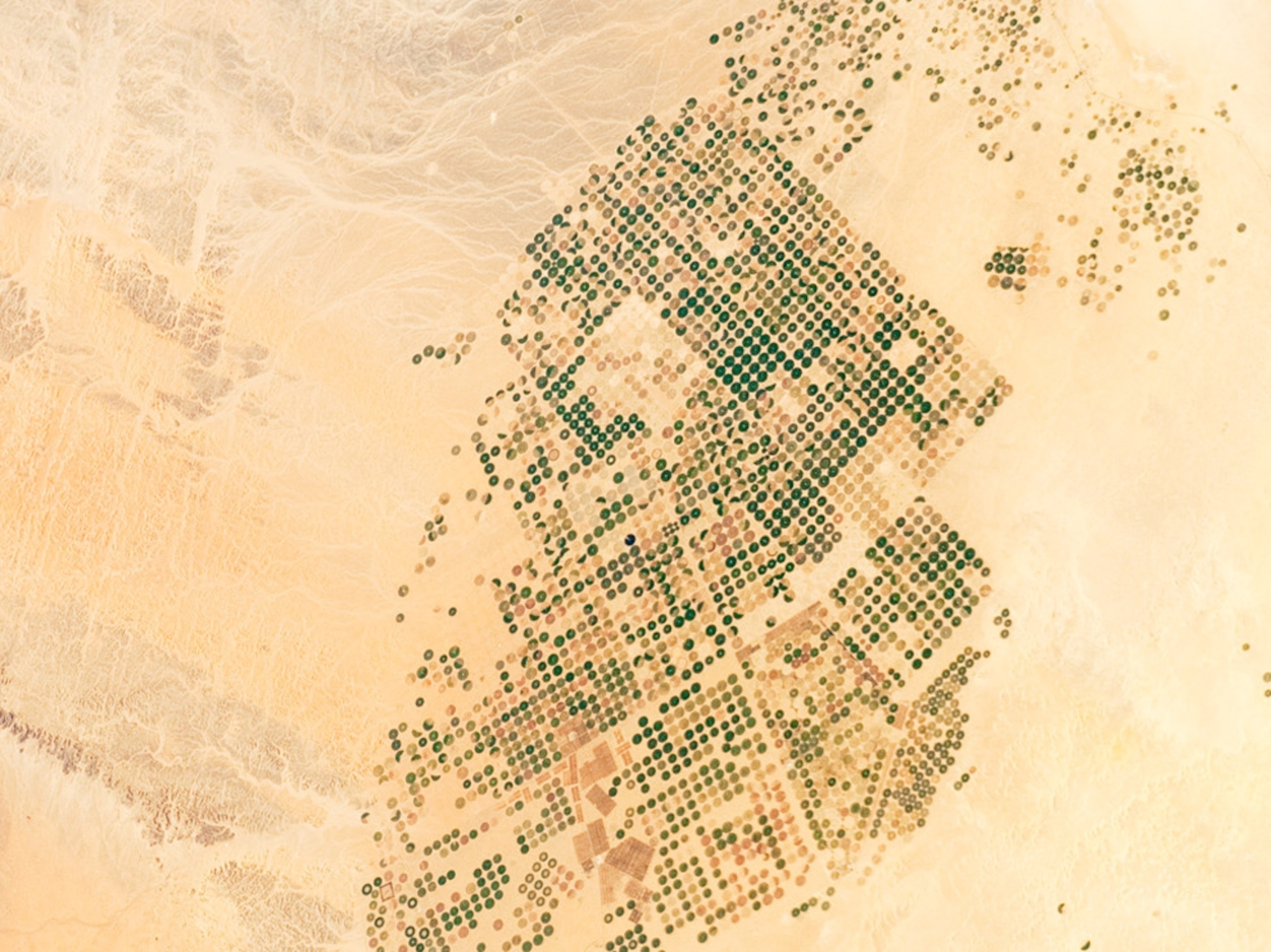 Desert picture: agricultural fields in Saudi Arabia, one of this week's best space pictures
