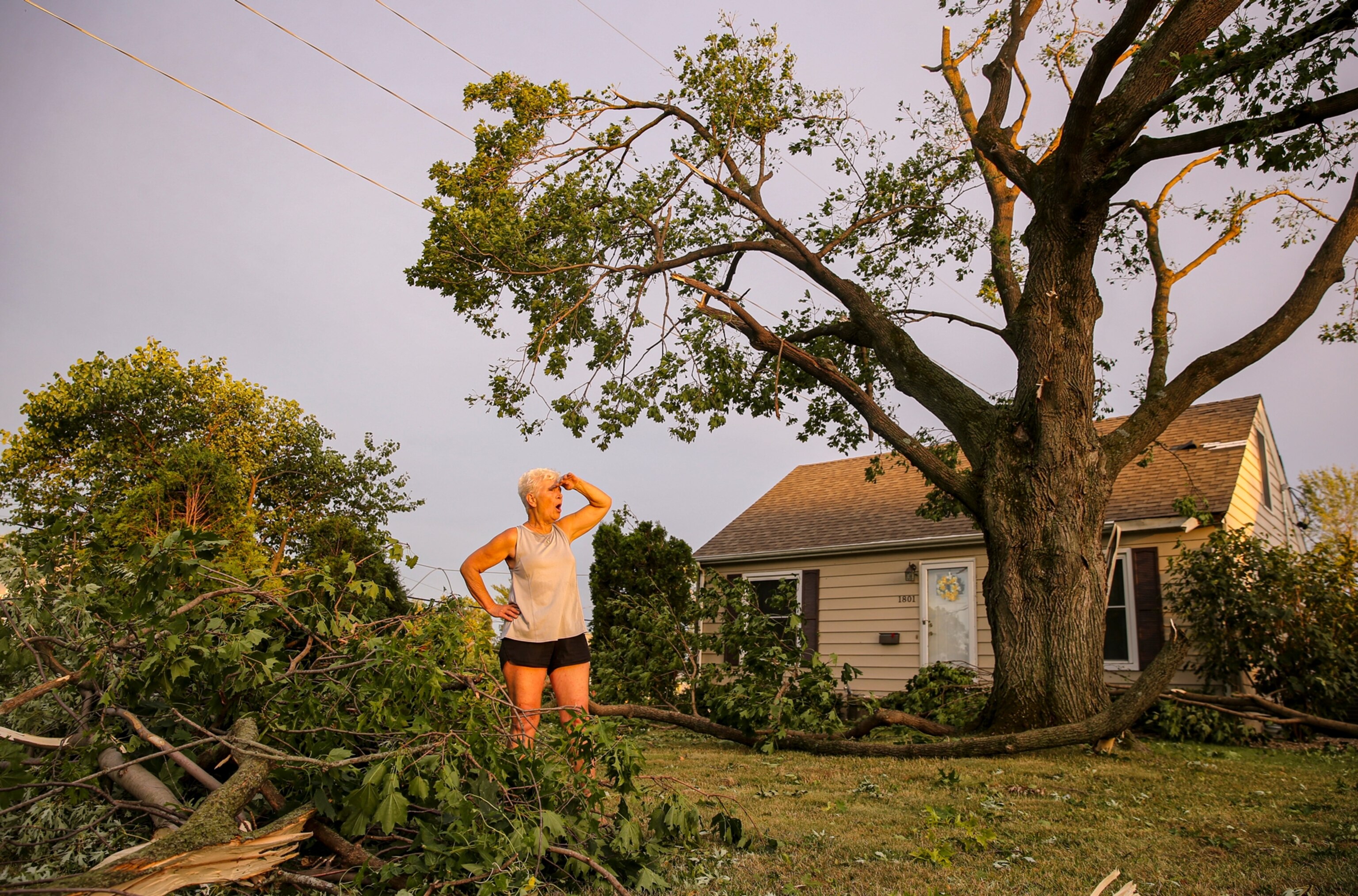 cedar rapids after the derecho