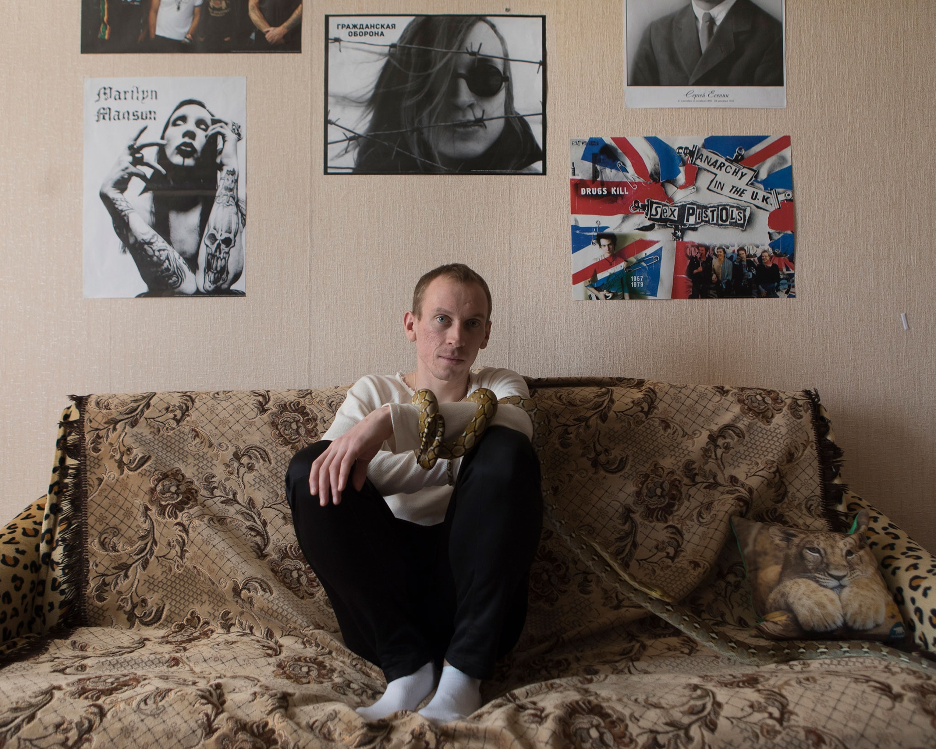 Andrey Zuev and two of his snakes, Python reticulatus