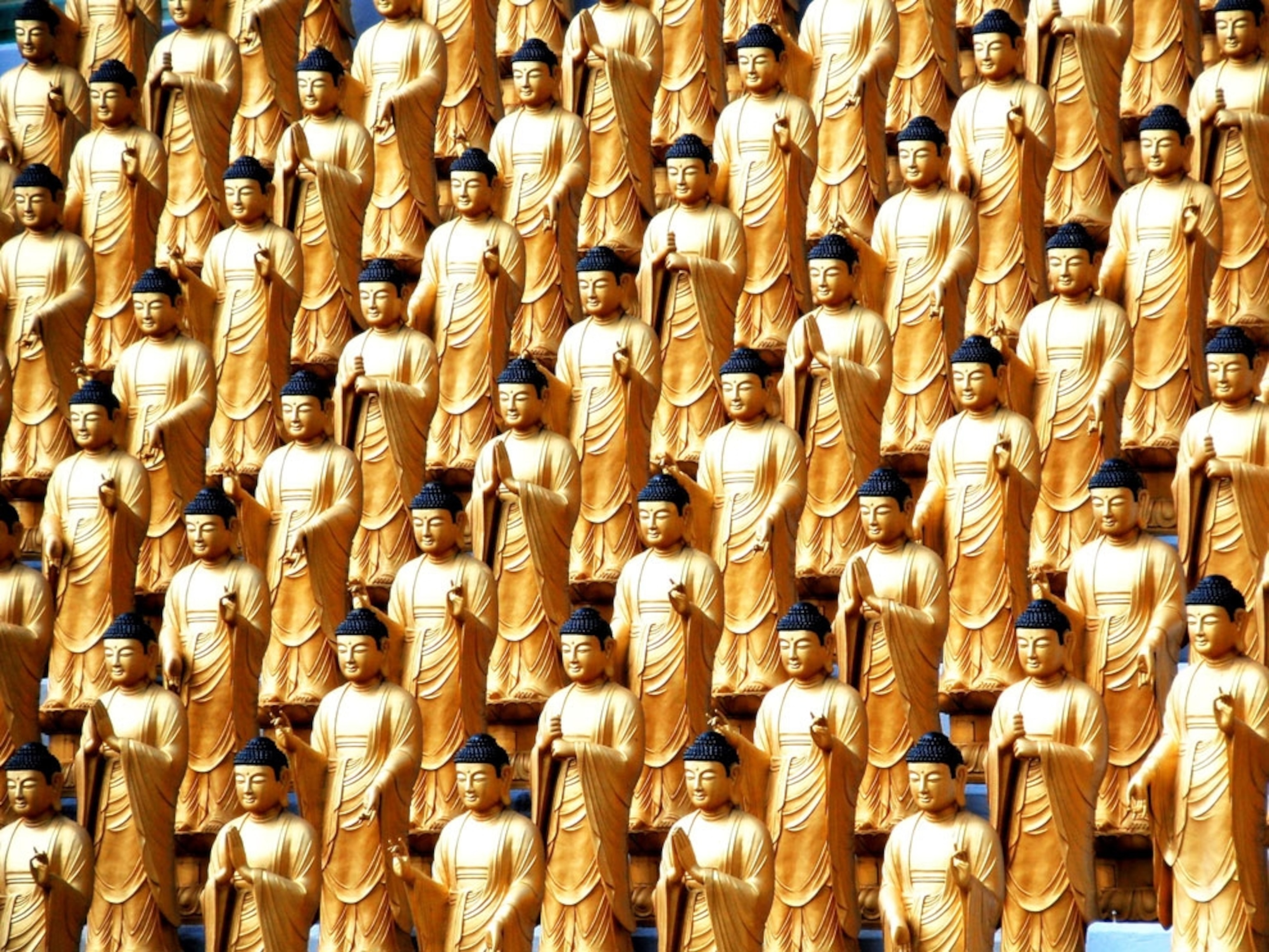 Rows of golden Buddha statues