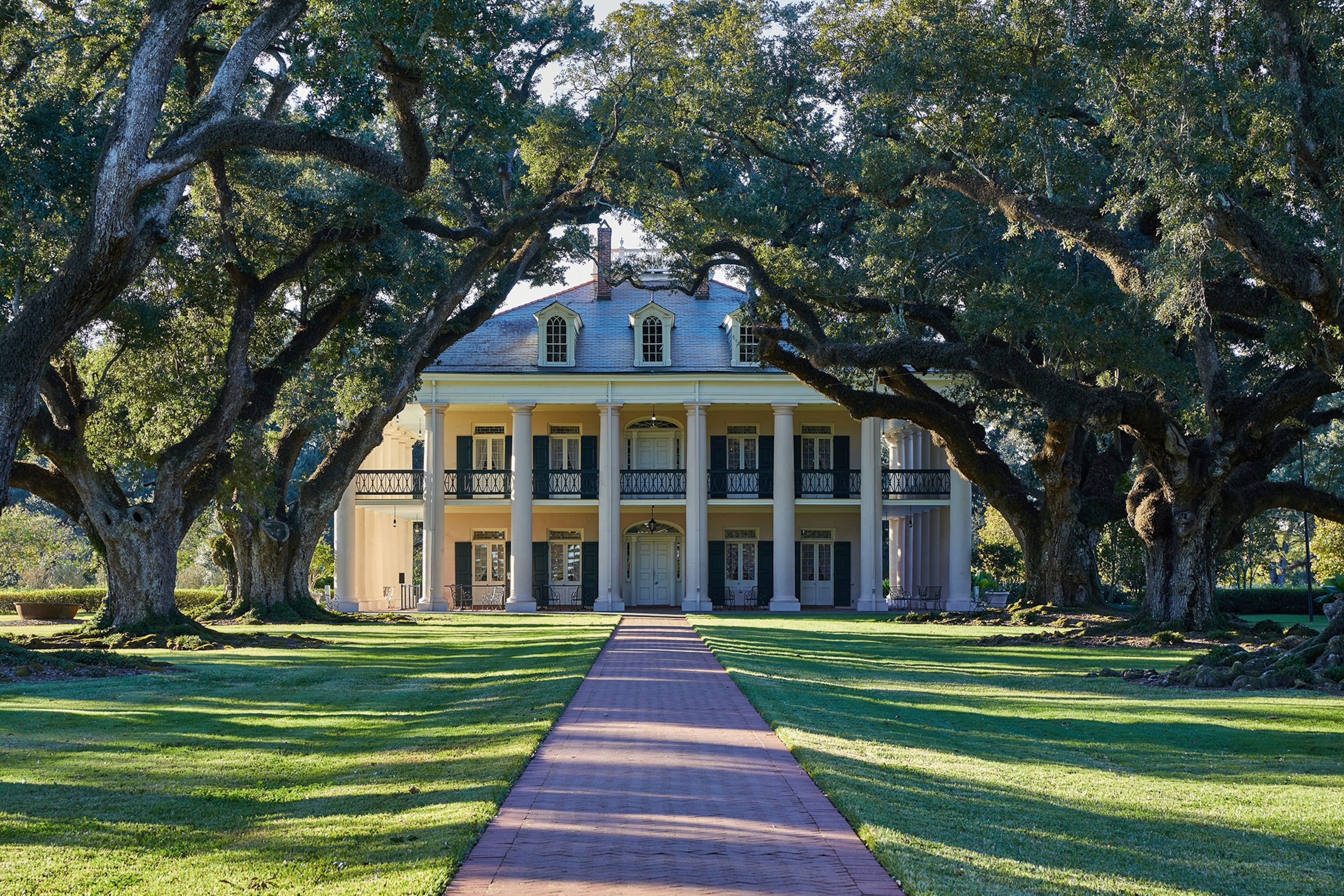 A colonial-style mansion with an oak tree alley leading to the front door.