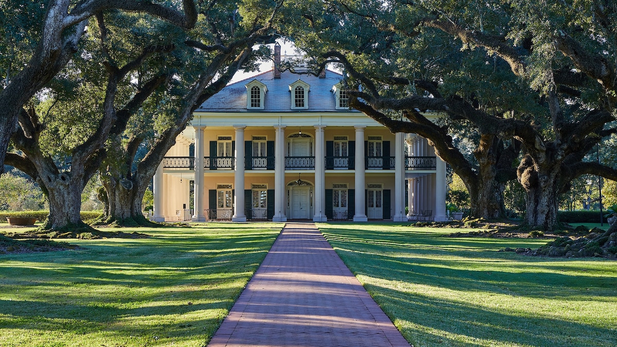 I went on the ultimate Louisiana road trip with swamp tours and frog feasts