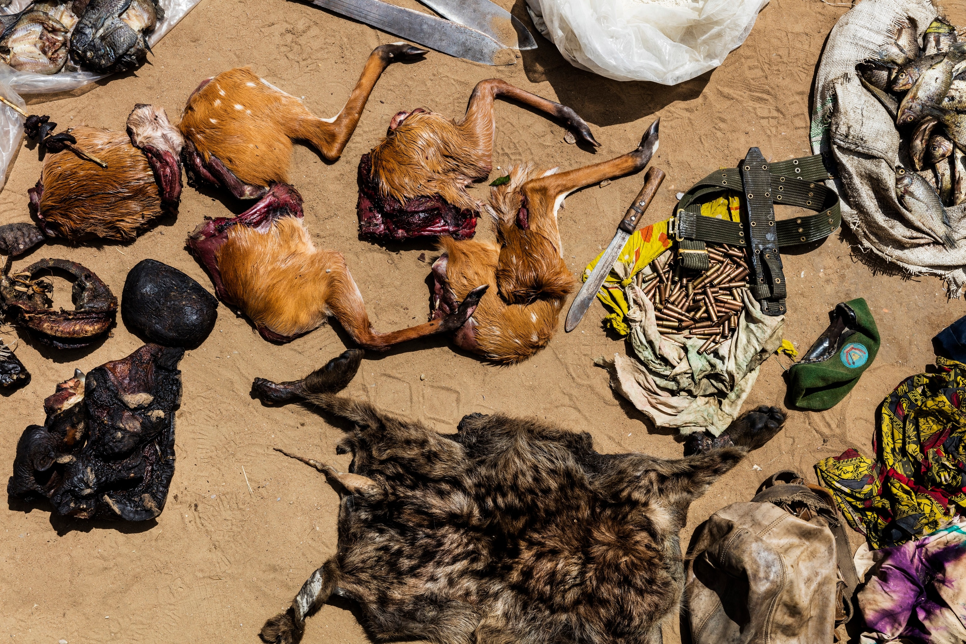 A look down on the ground with various cut up animals used for meat trade