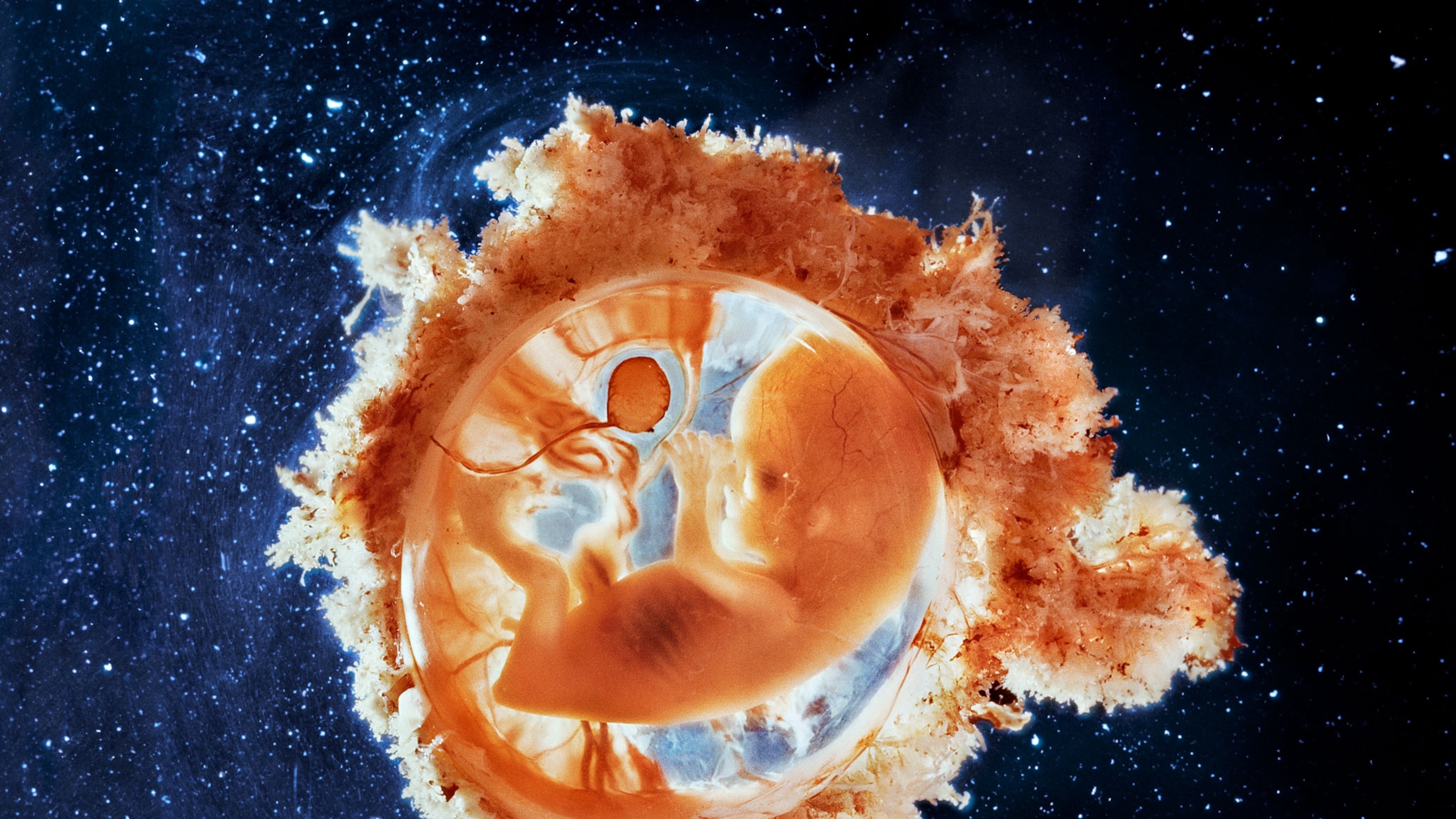 How viruses shape our world