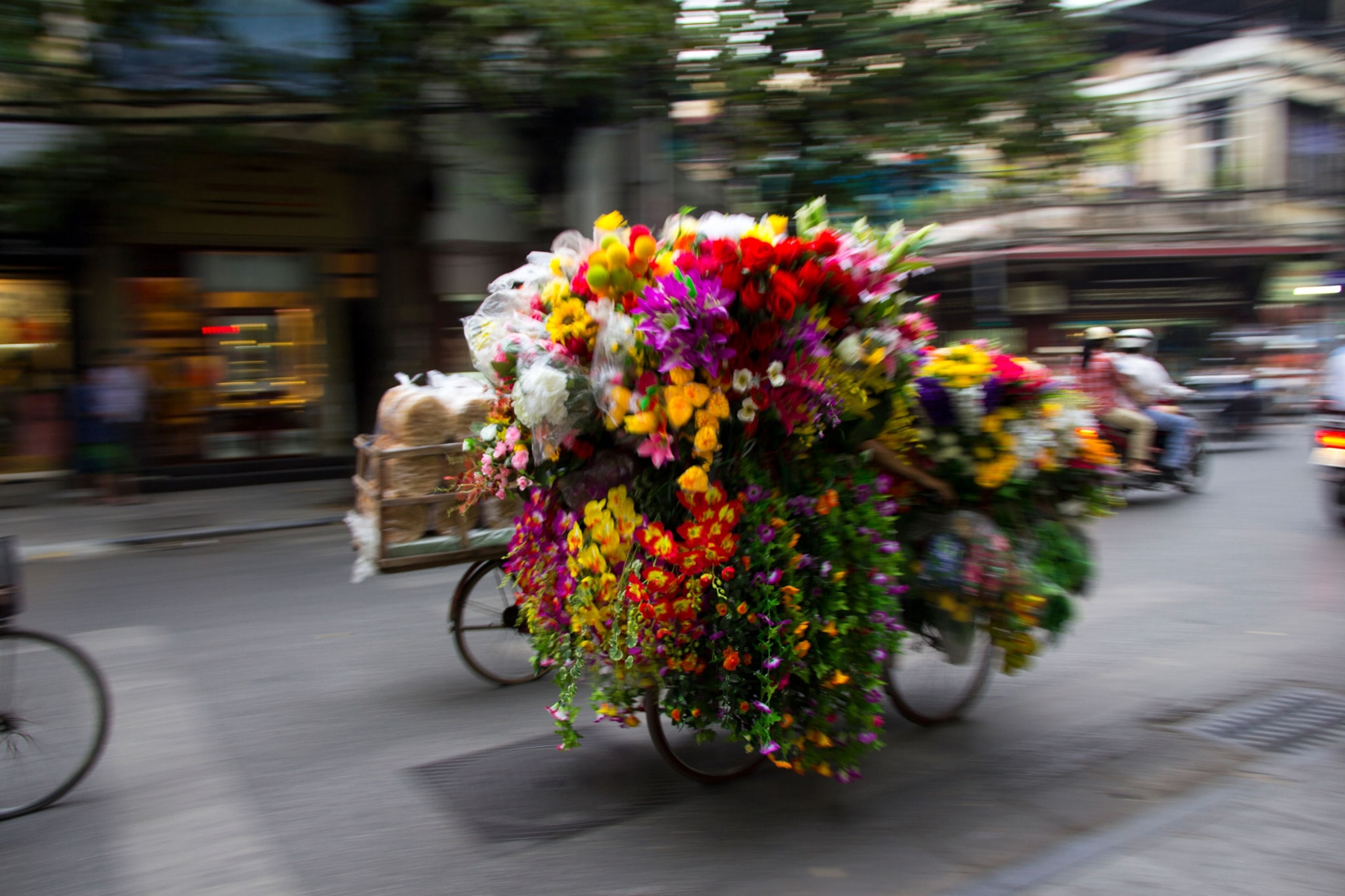 a Vietnamese woman transport flowers with her bike in Hanoi, Vietnam