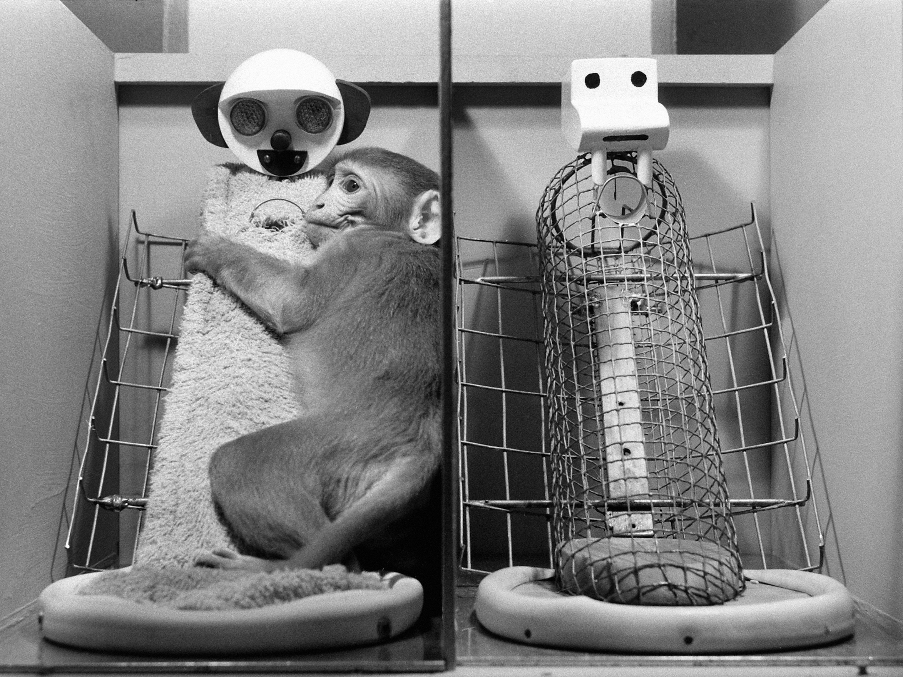 The audacious science pushing the boundaries of human touch