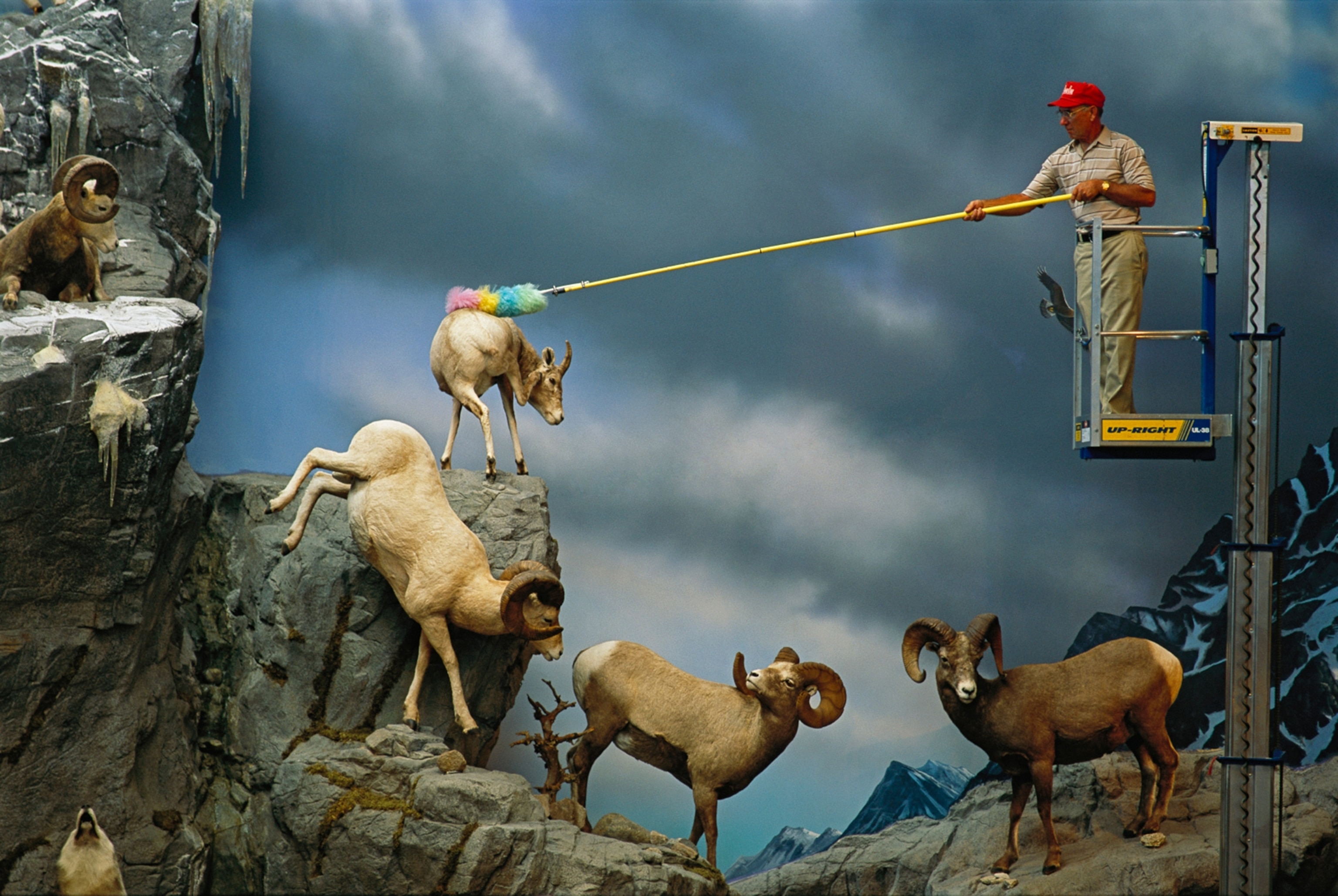 An employee dusts off a display at Cabela's in Sidney, Nebraska., a retail store and catalog outfit specializing in outdoor gear.