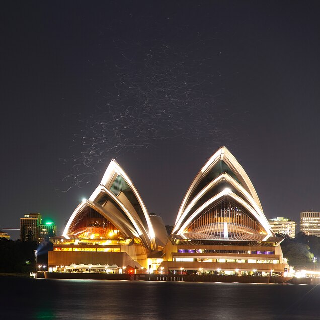 Data Keluaran Sydney Night Hari Ini Terupdate Terus Dan Sangat Bagus