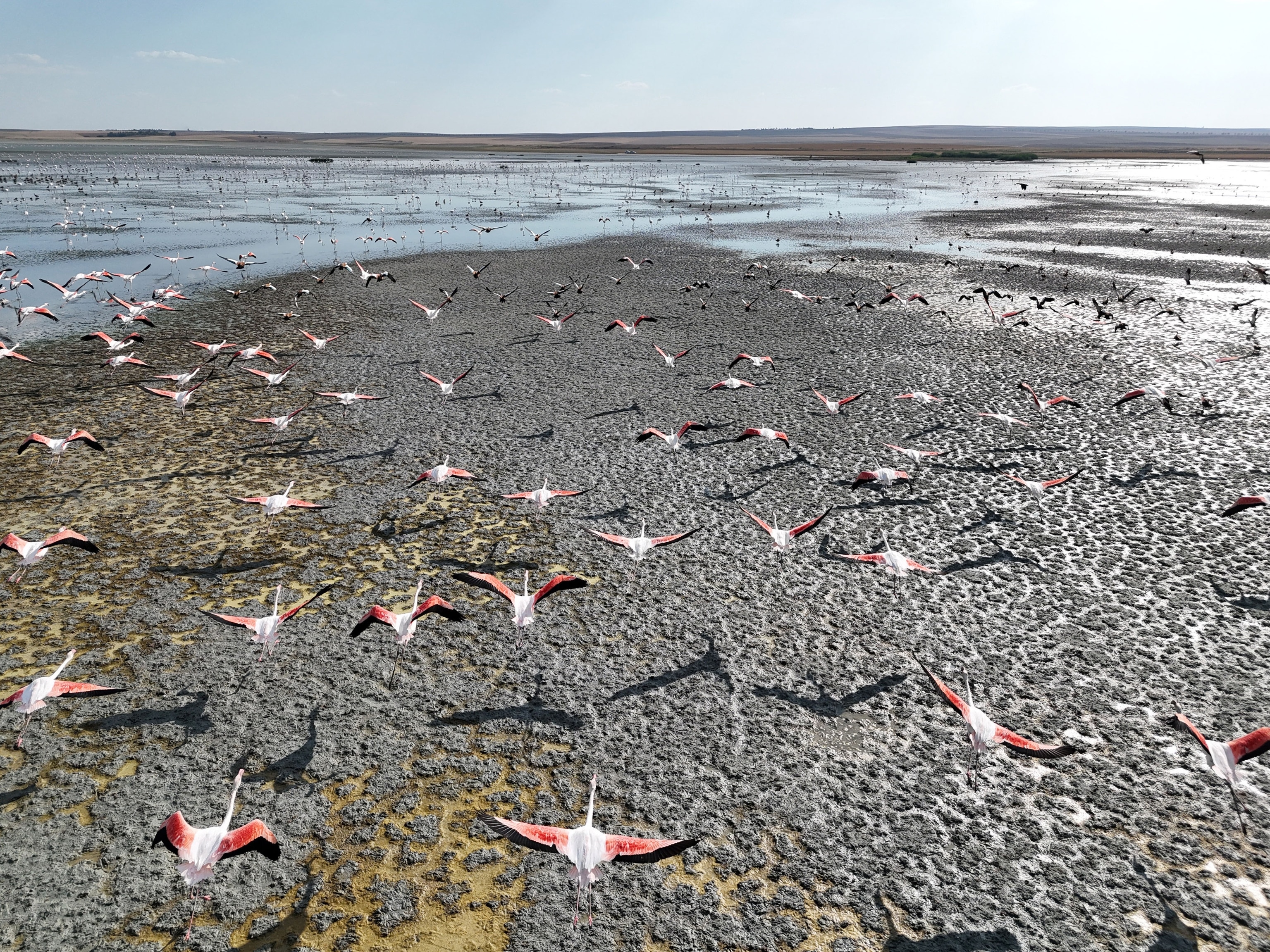 An aerial shows birds flying and a lake.