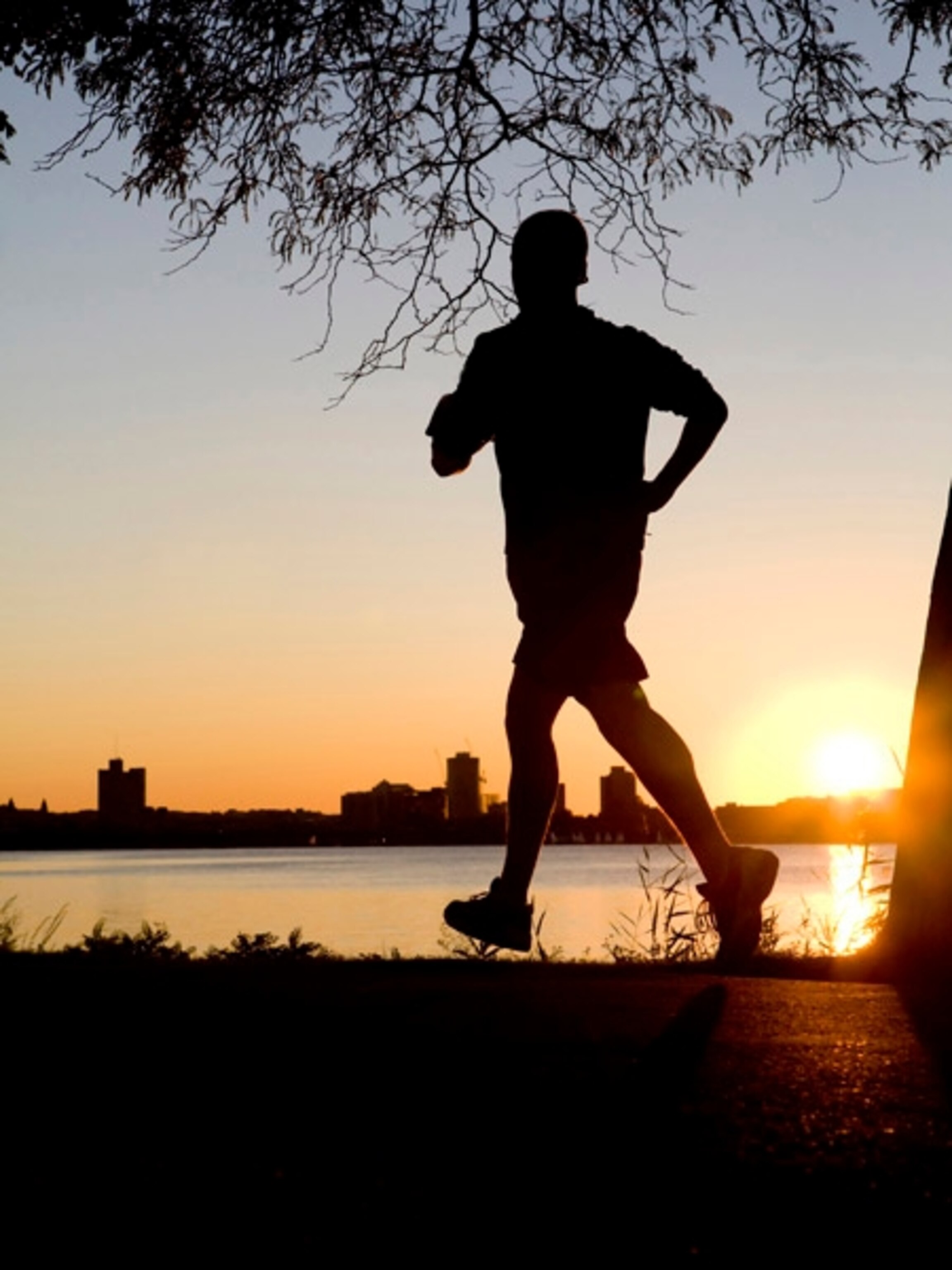 Silhouette, Charles River