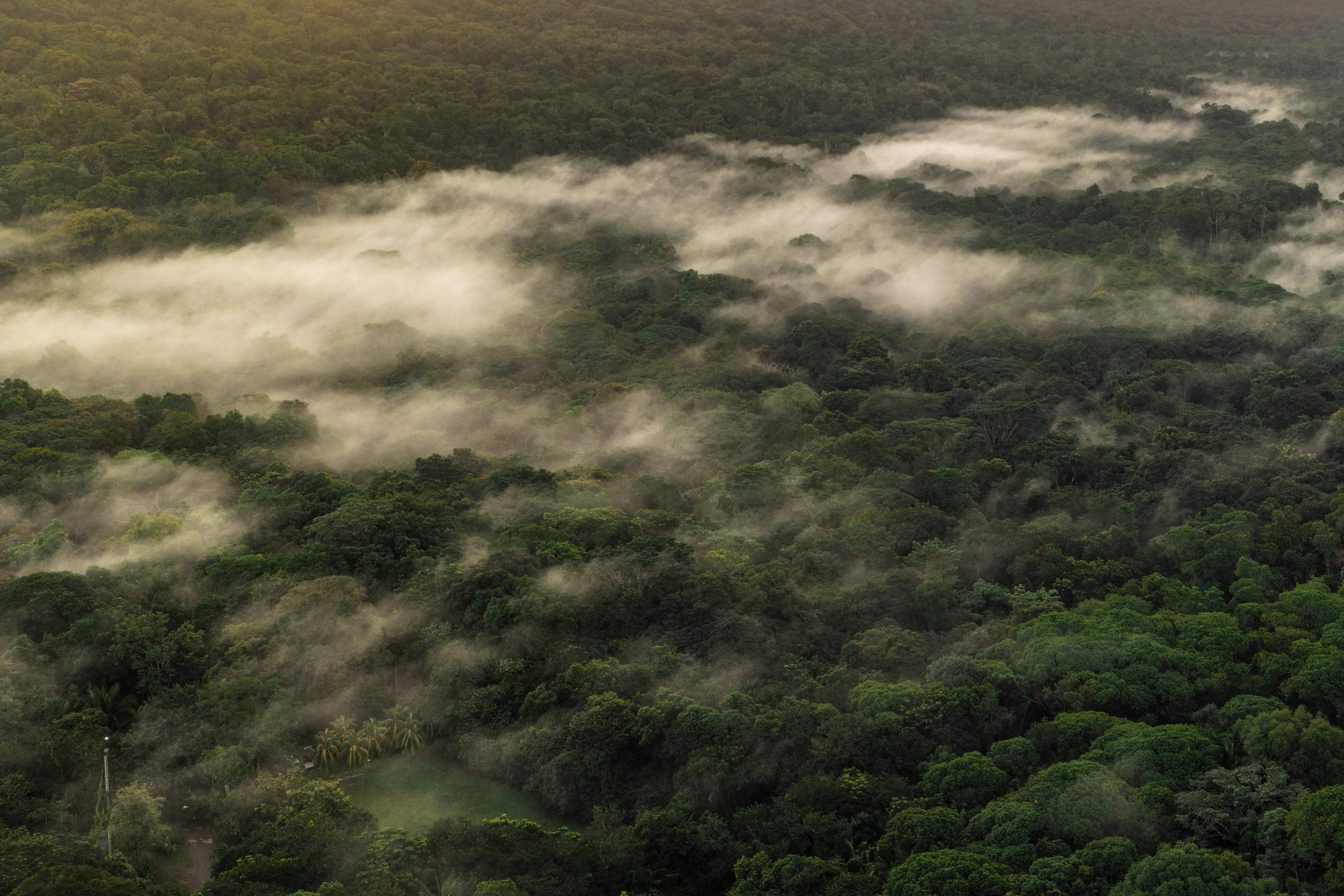 The sun rises on one coast of Costa Rica and sets on the other. In between is a land of extraordinary beauty and endless variety, encompassing cloud forests and mangrove swamps, surf beaches and treetop eco-retreats, colonial towns and volcanic craters.