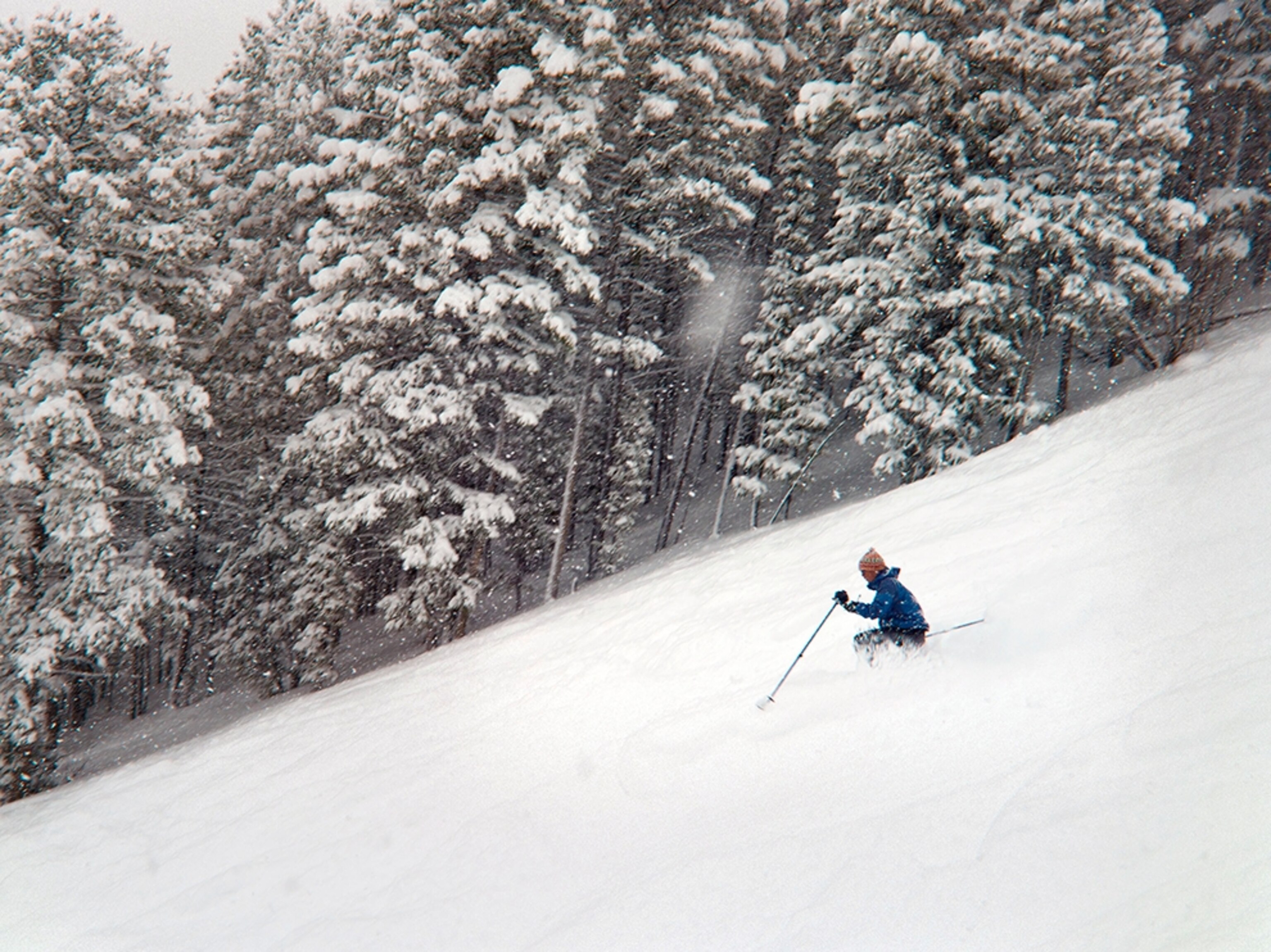 a skier making a telemark turn on Snow King's slopes, Wyoming