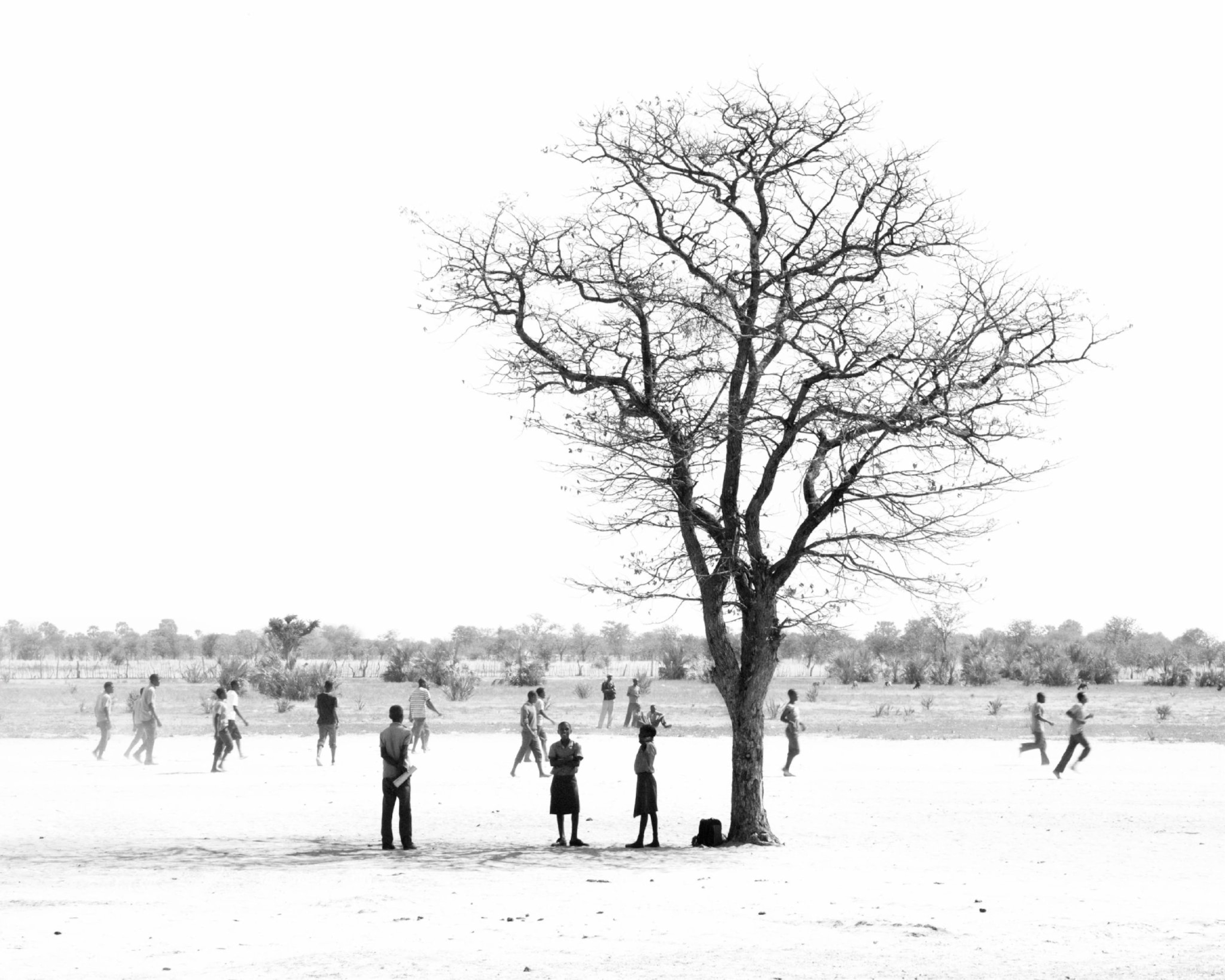 a single tree with children in Namibia