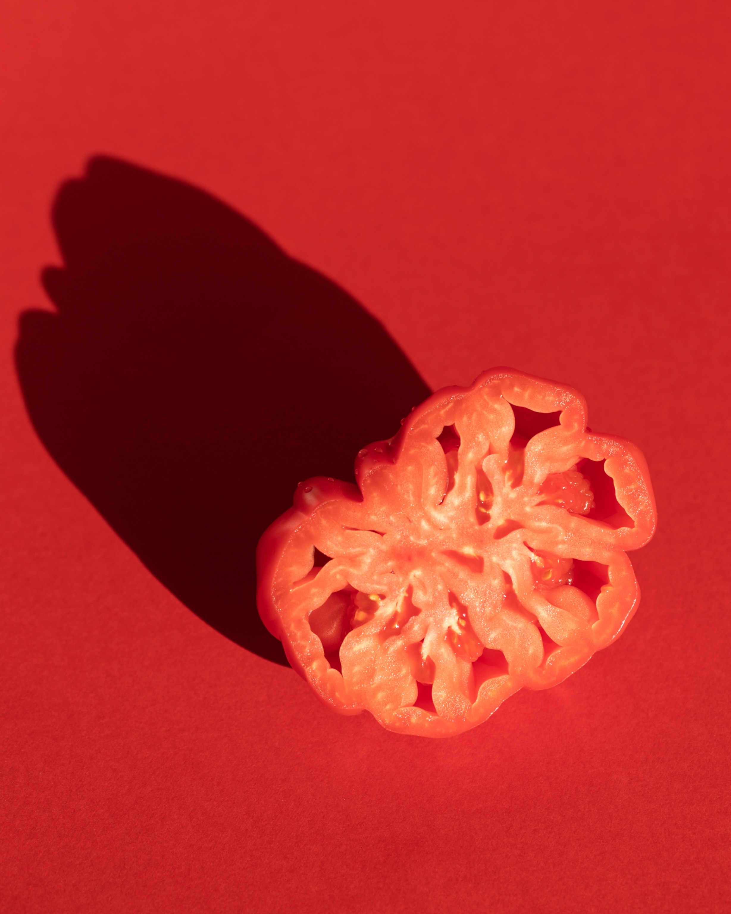 A vivid red tomato slice with intricate patterns casting a bold shadow on a matching red background