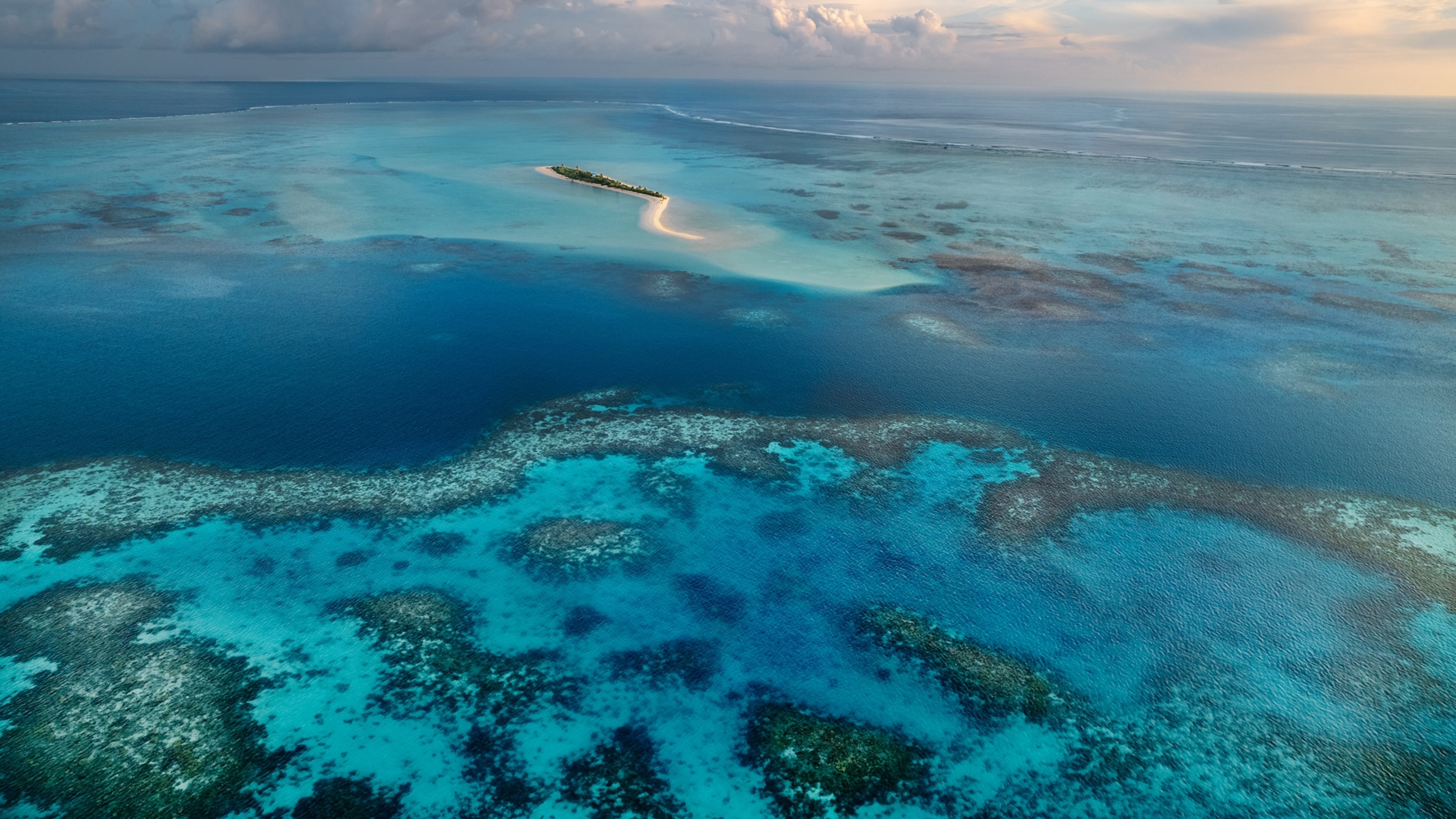 Palau’s waters are some of the most biodiverse in the world—thanks to its defenders