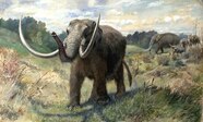 Mastodon Animal Facts