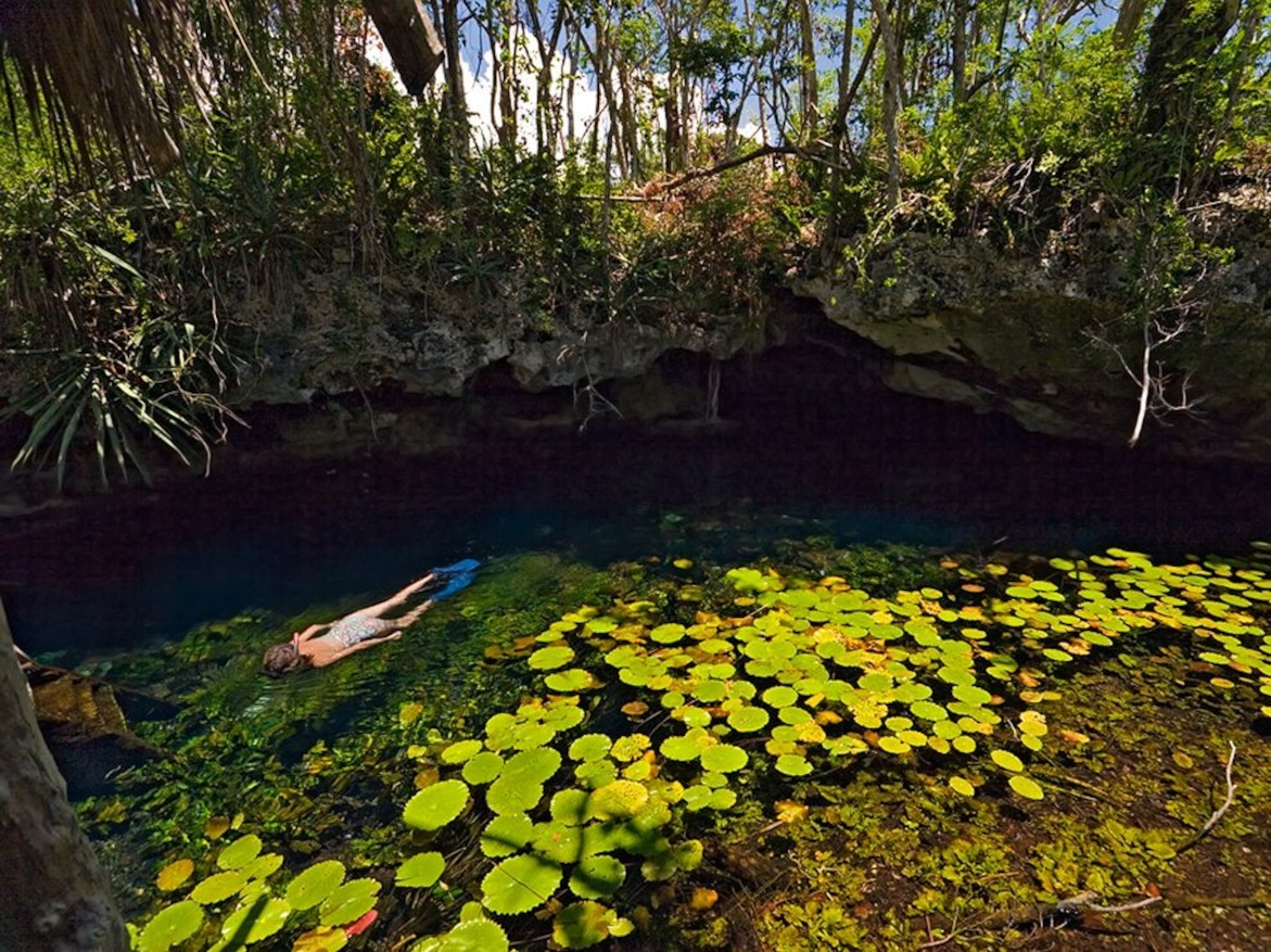 a swimmer in the Yucatán rain forest
