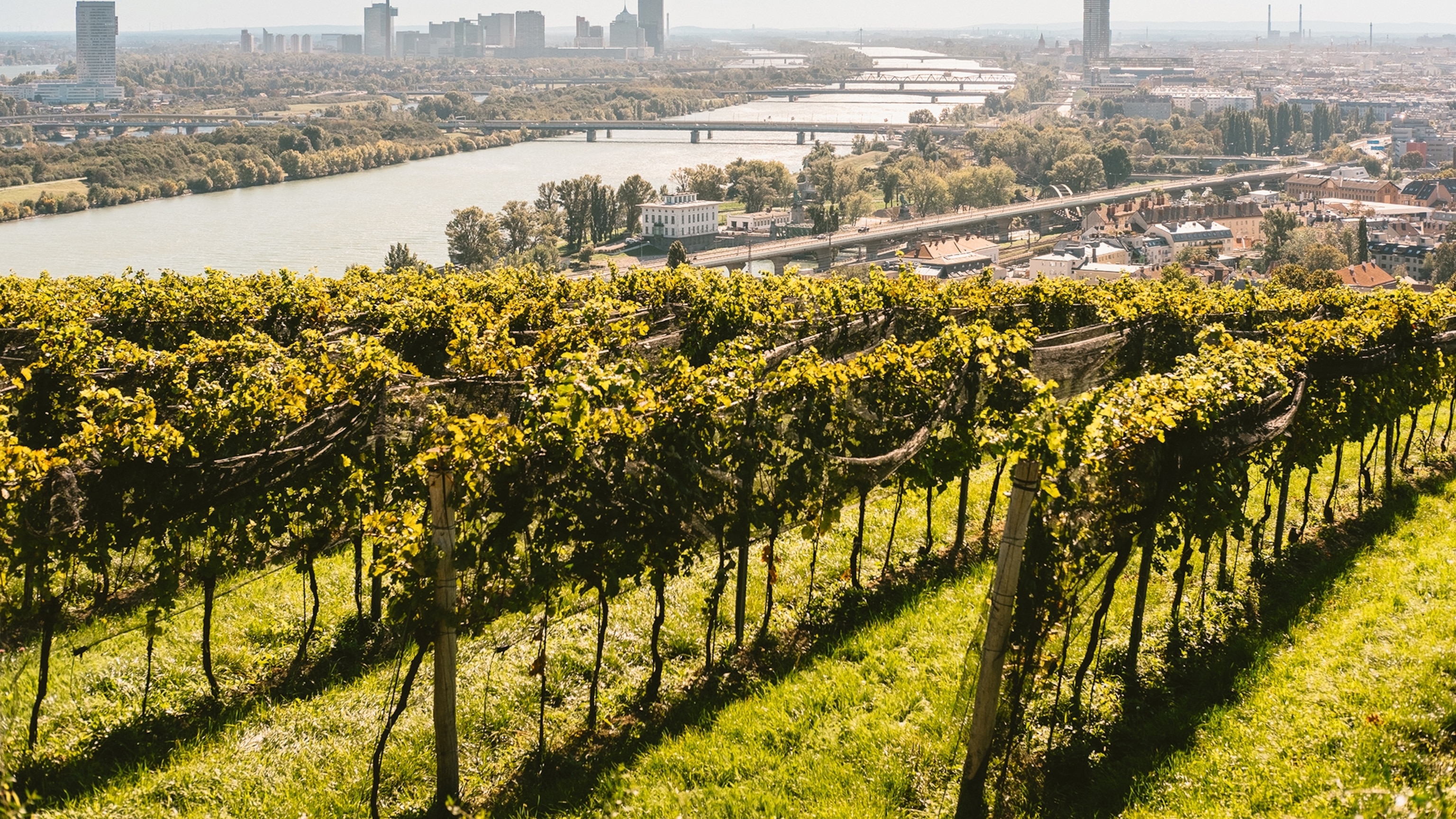 Want to see a different side to Vienna? Board the Austrian capital's wine train