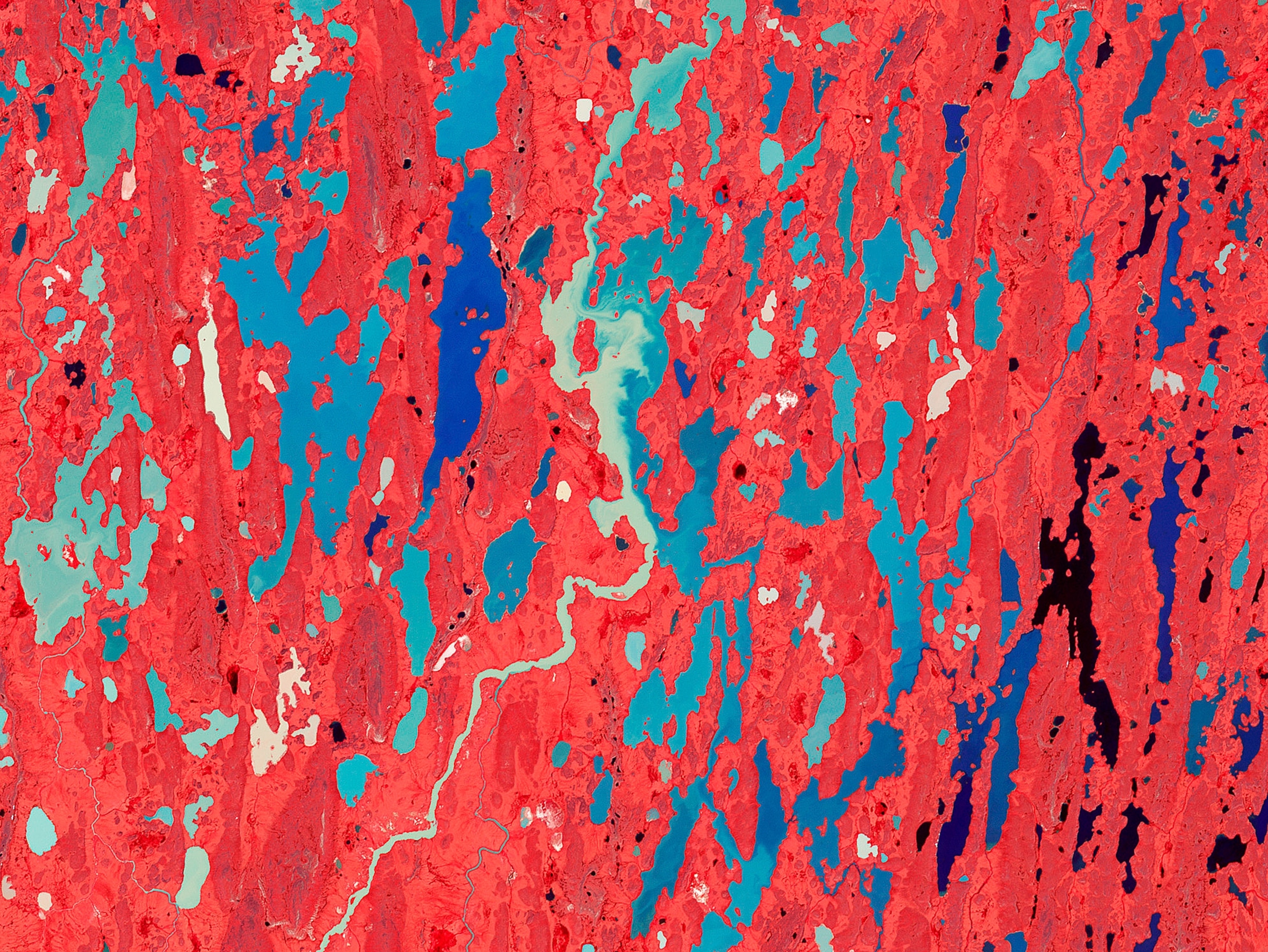 Wetlands picture: one of the week's best space pictures