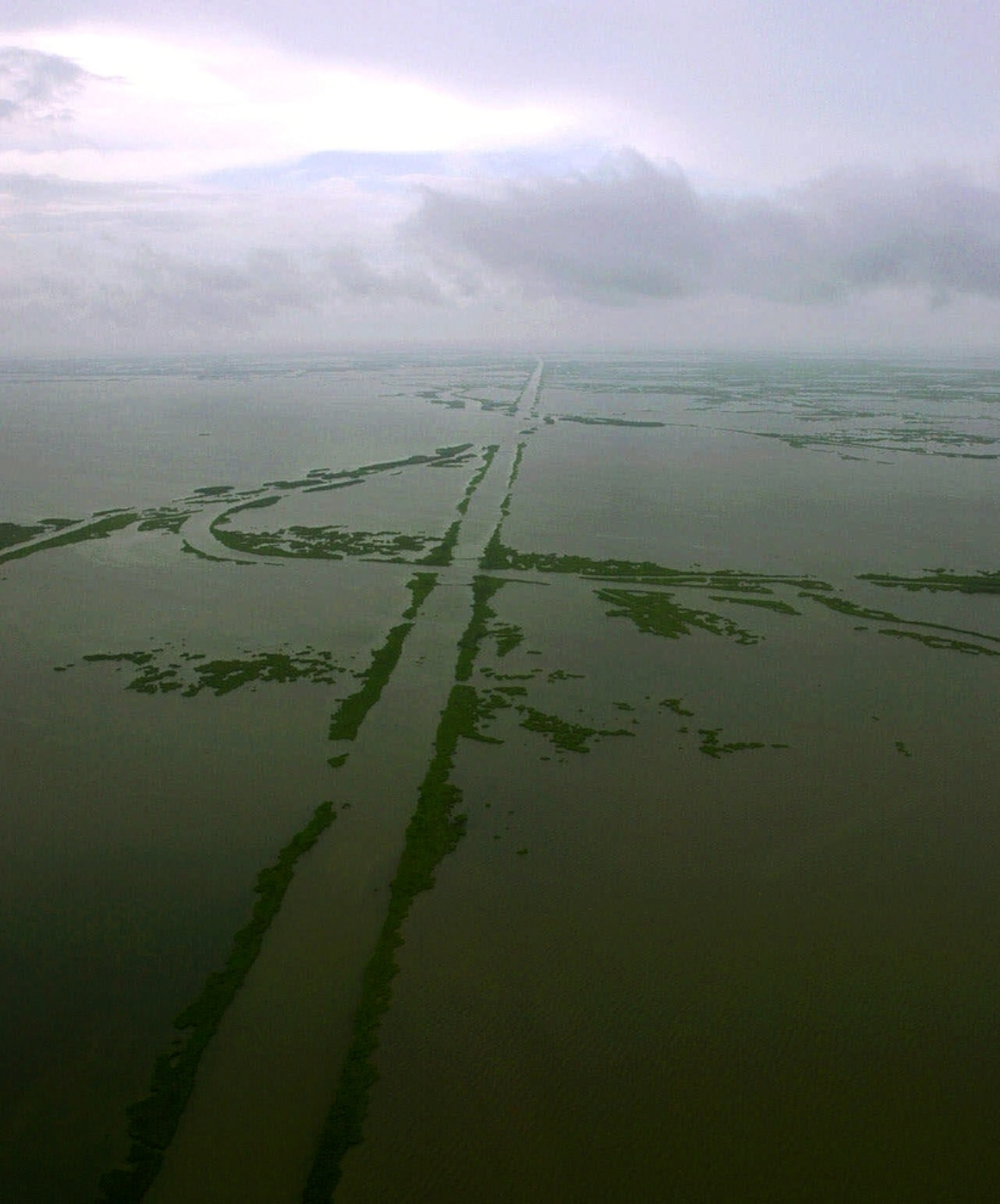 A straight line marks a pipeline beneath the surface of the Gulf of Mexico.