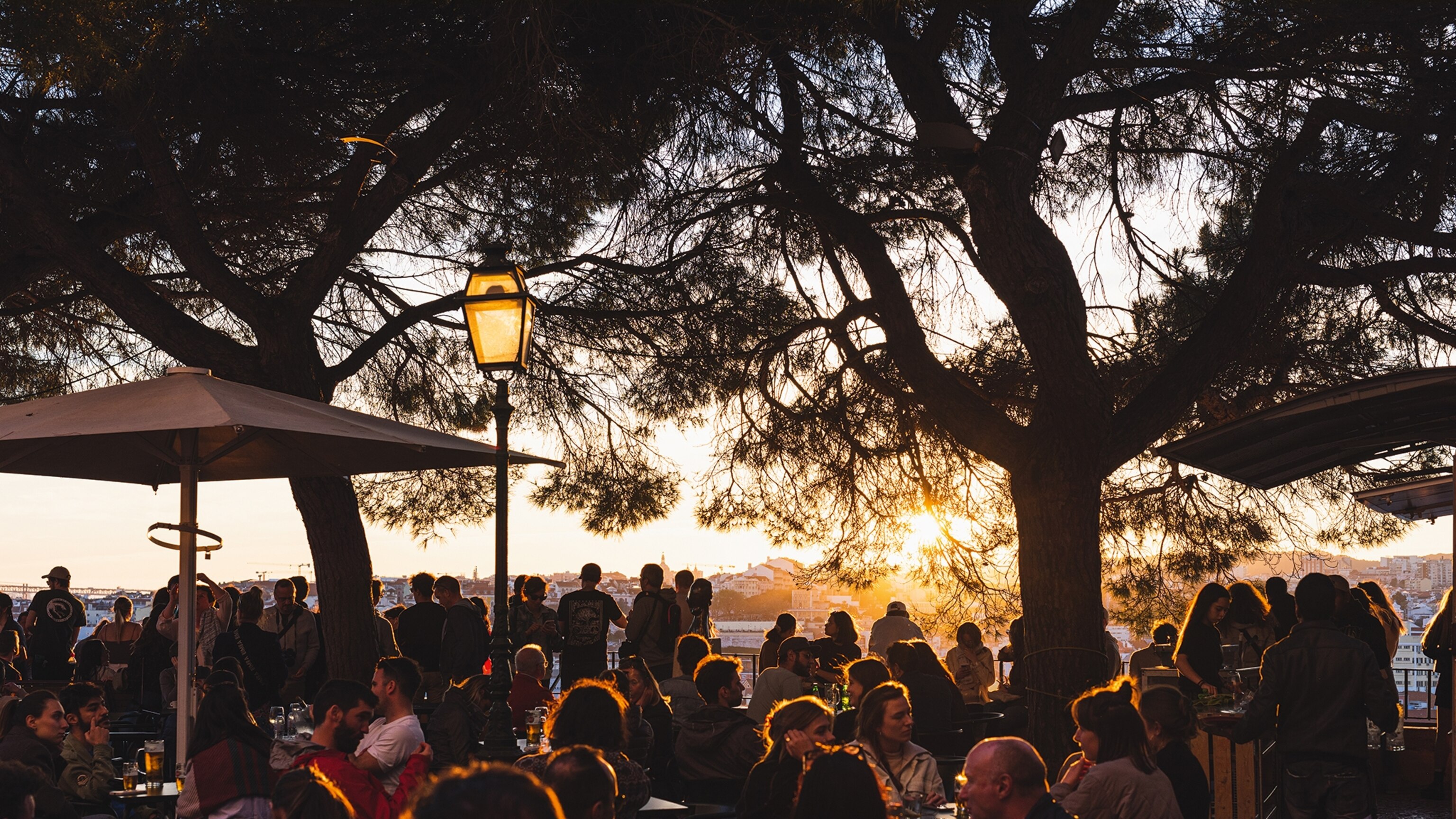 From sundowners to fine dining: 8 culinary highlights in Lisbon - Vimarsana News