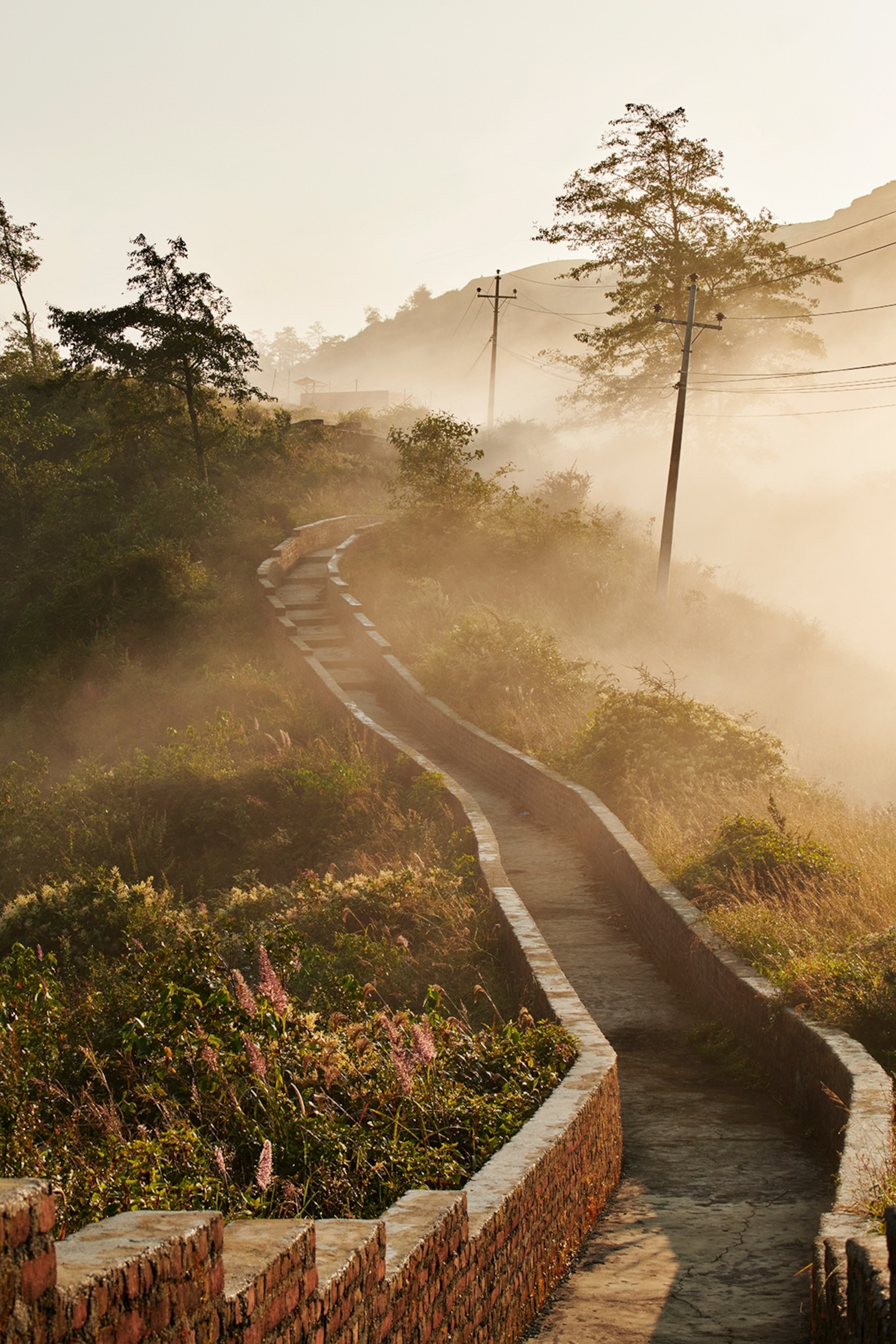 A misty, winding stone pathway guided by small walls and leading along the side of a bushy hill.