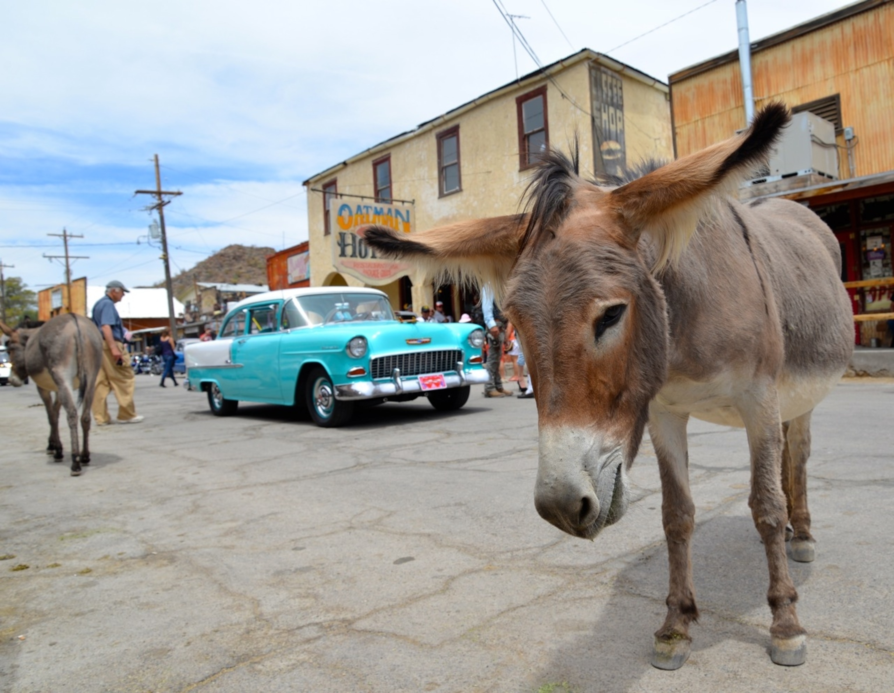 WIld burros and vintage cars rub shoulders in historic Oatman, Arizona. (Photo by Andrew Evans, National Geographic Travel)