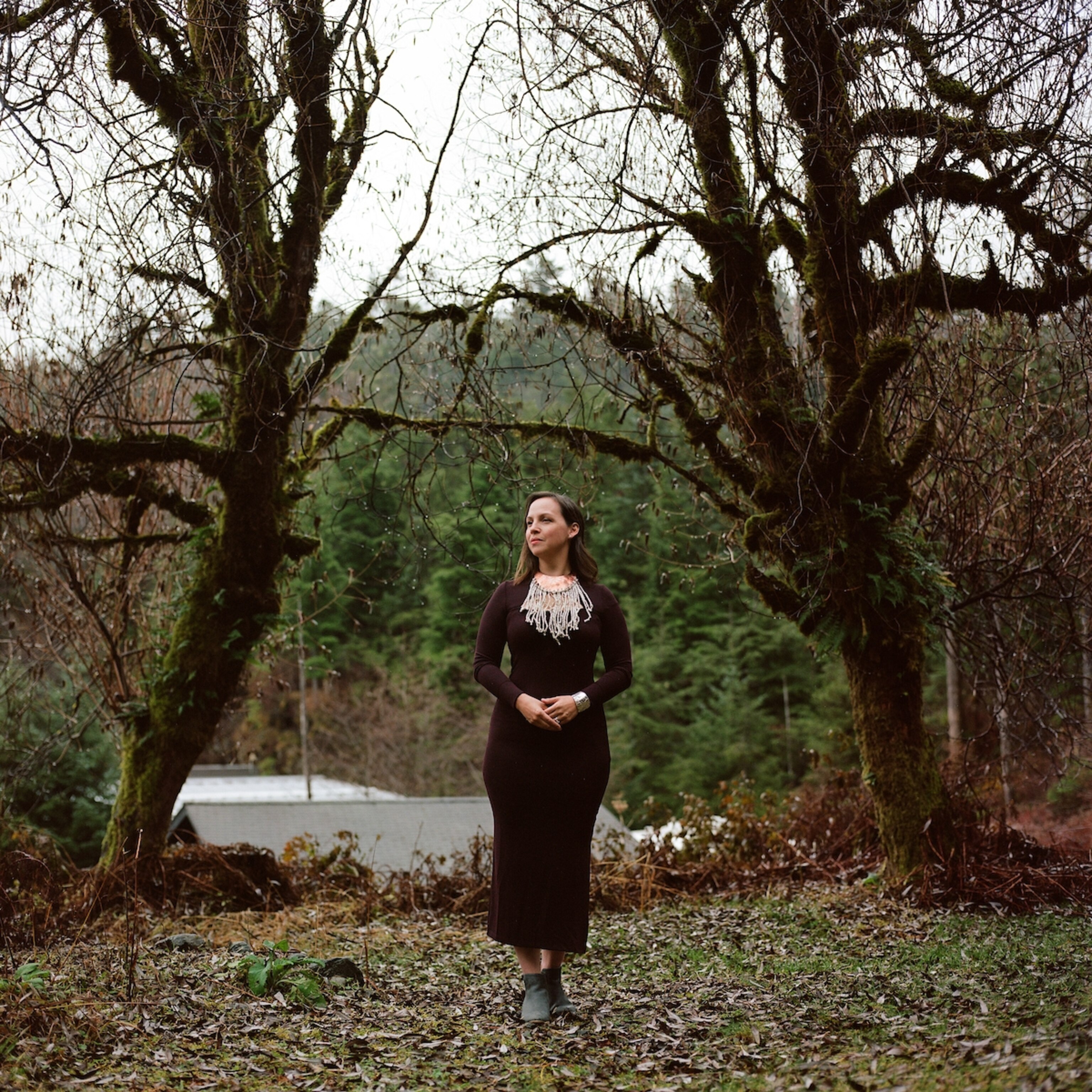 Photo story a journey from Juneau to Sitka