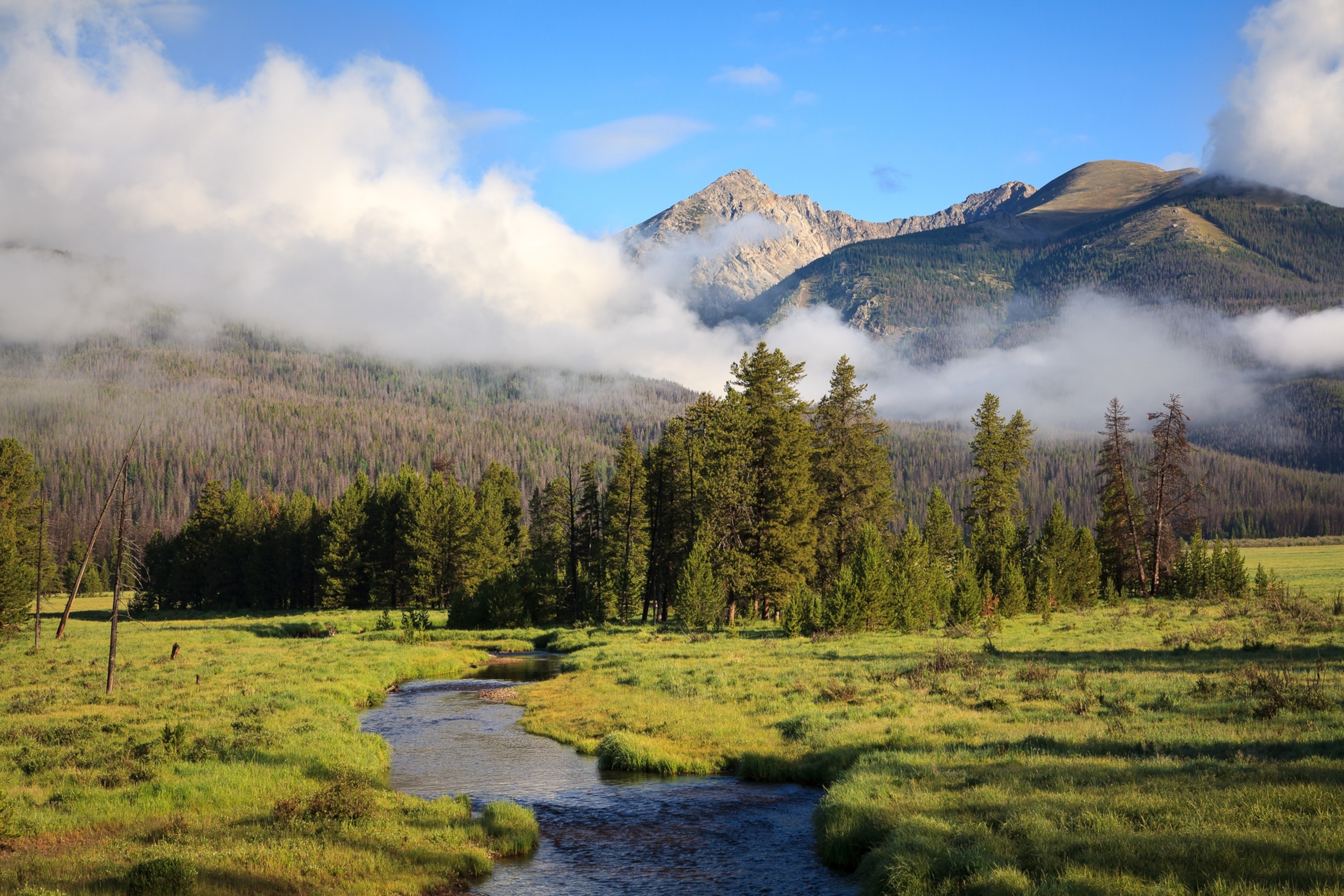 Kawuneeche Valley