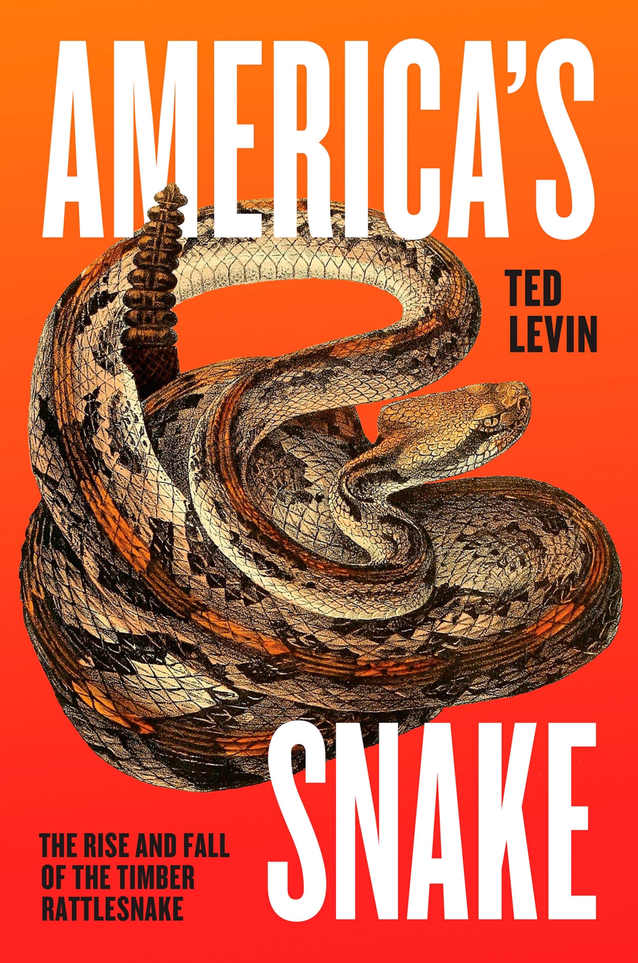 book titled America's Snake