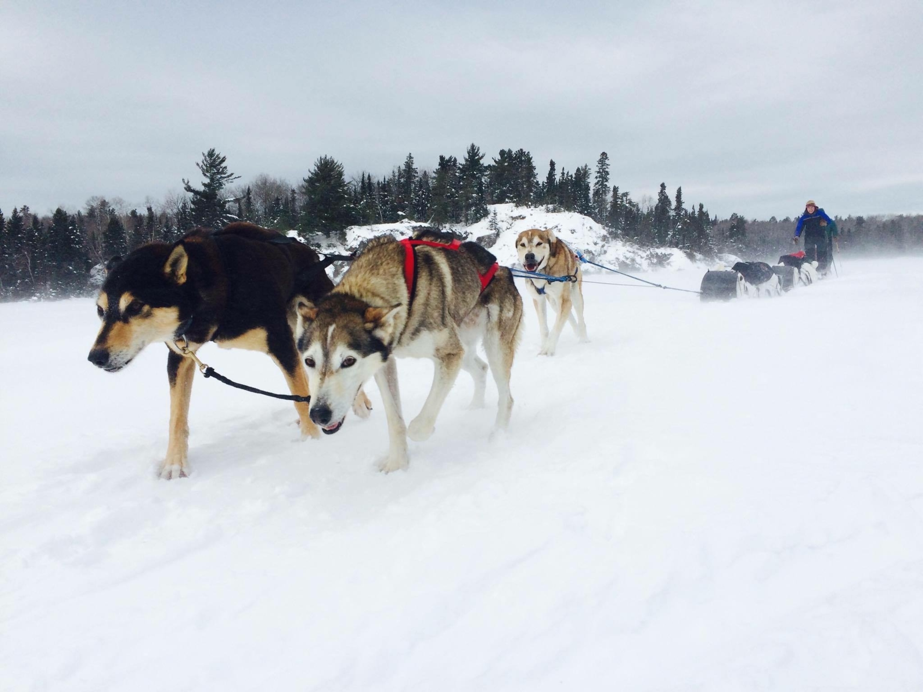 Windy winter travel in the Boundary Waters