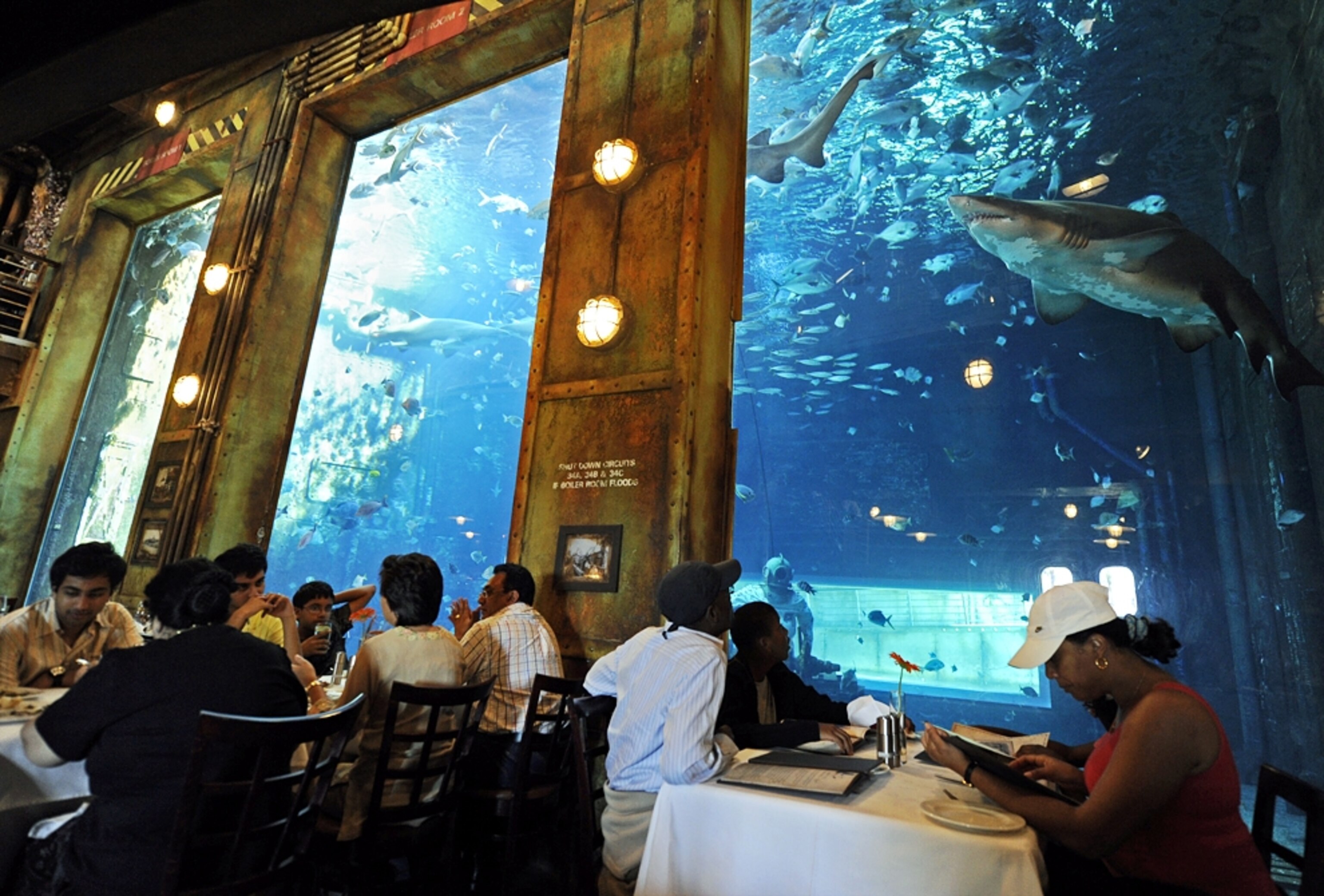 A restaurant with a view of an aquarium